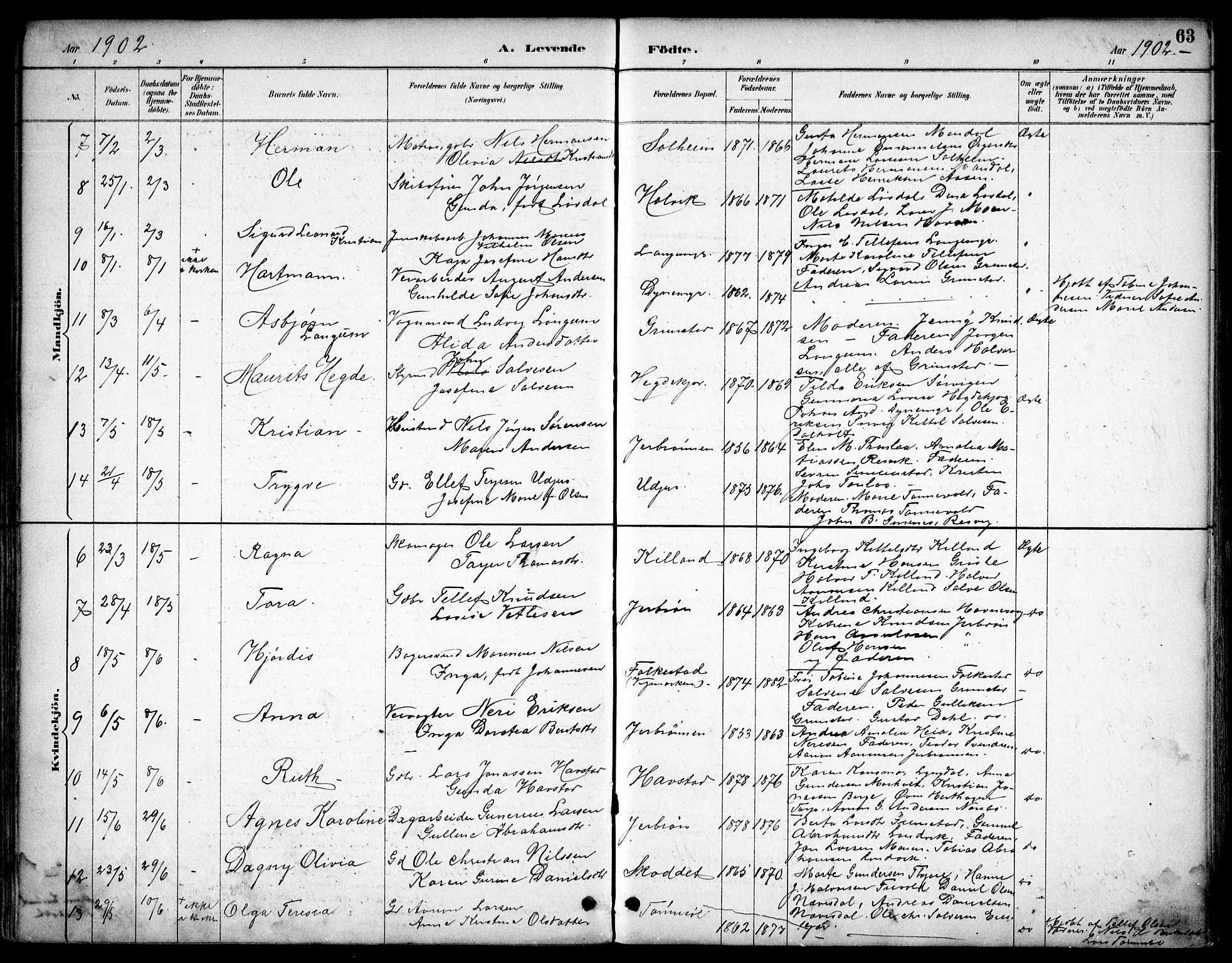 Hommedal sokneprestkontor, SAK/1111-0023/F/Fb/Fbb/L0007: Parish register (copy) no. B 7, 1885-1904, p. 63