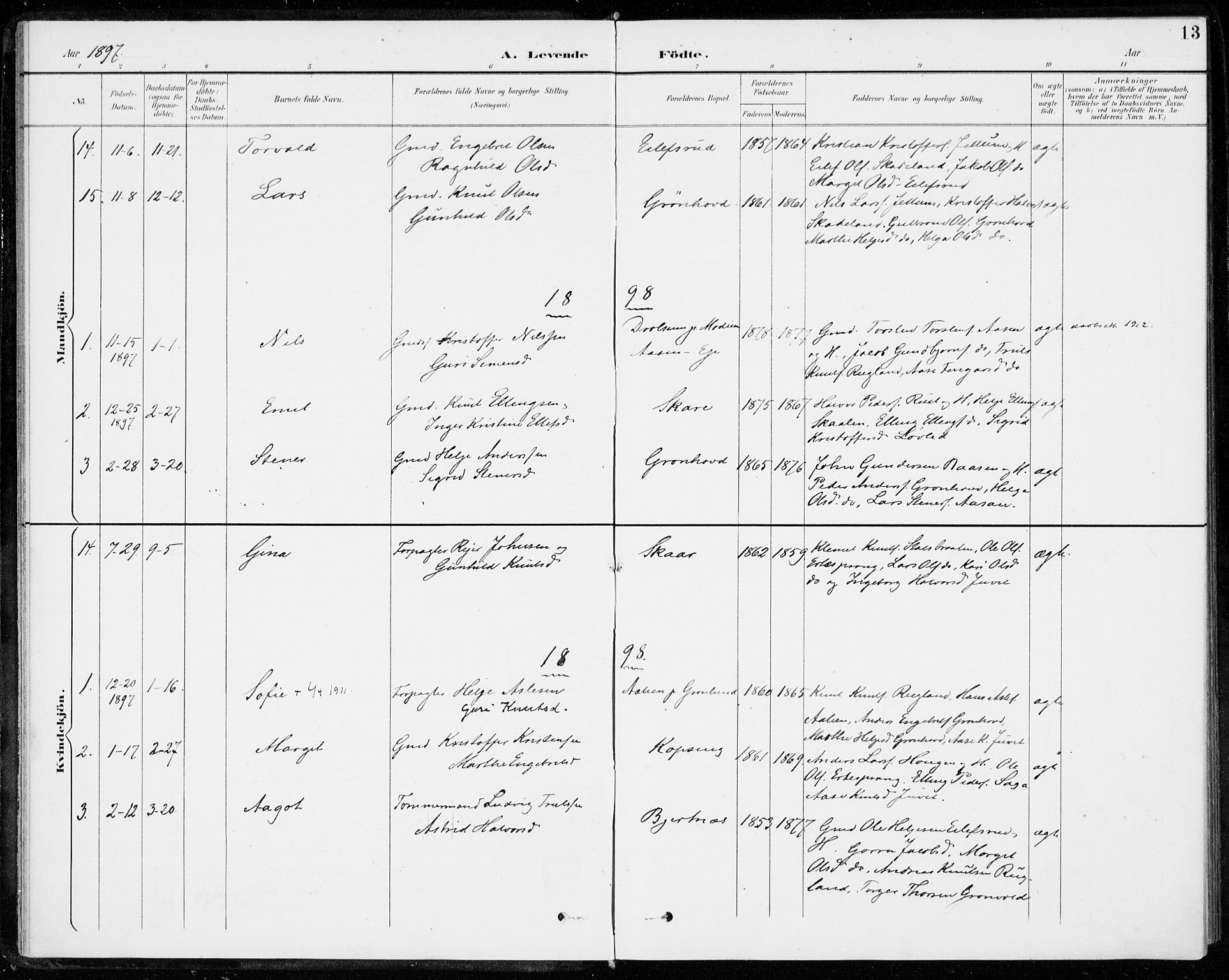 Sigdal kirkebøker, SAKO/A-245/F/Fc/L0002: Parish register (official) no. III 2, 1894-1911, p. 13