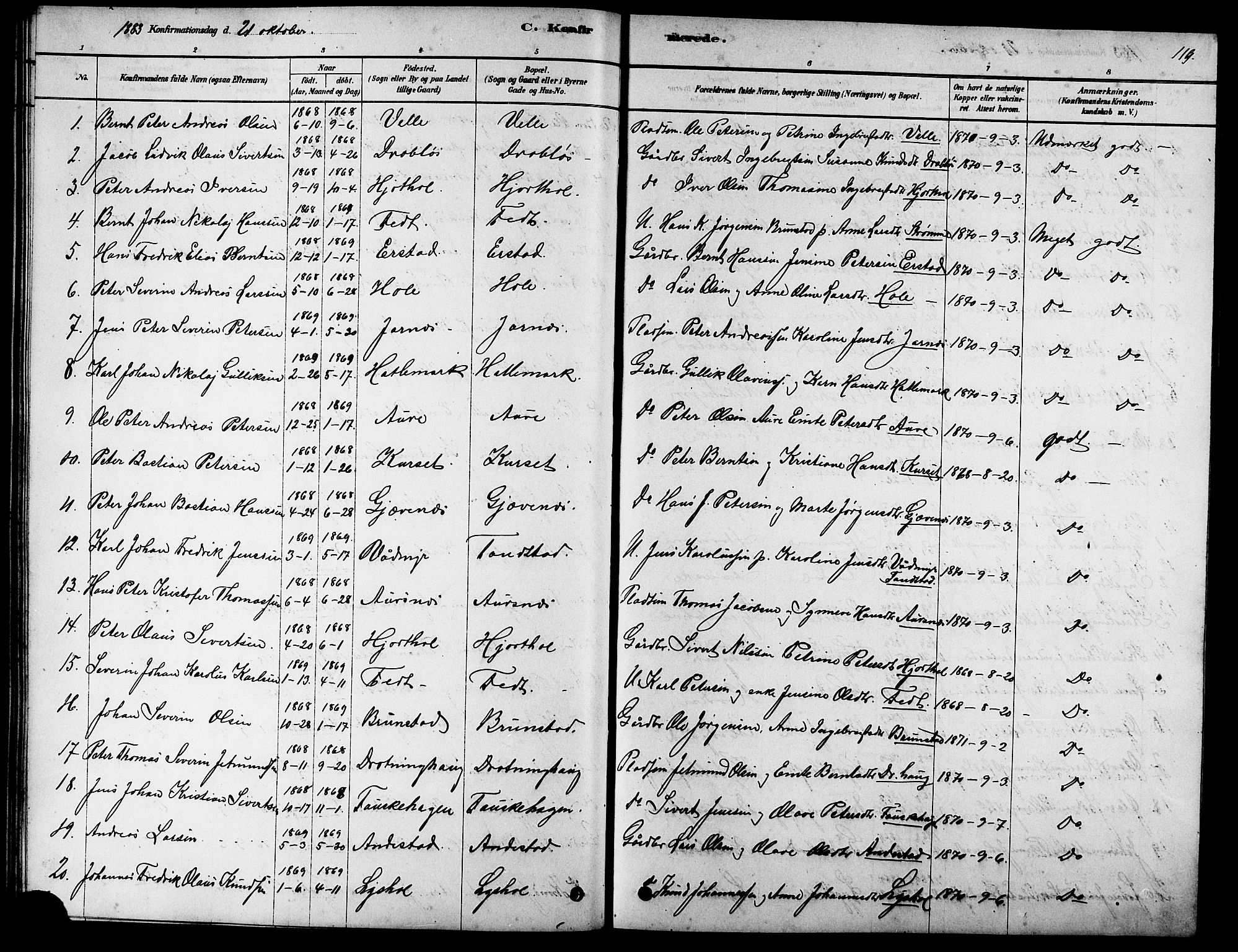 Ministerialprotokoller, klokkerbøker og fødselsregistre - Møre og Romsdal, SAT/A-1454/523/L0339: Parish register (copy) no. 523C02, 1878-1891, p. 119