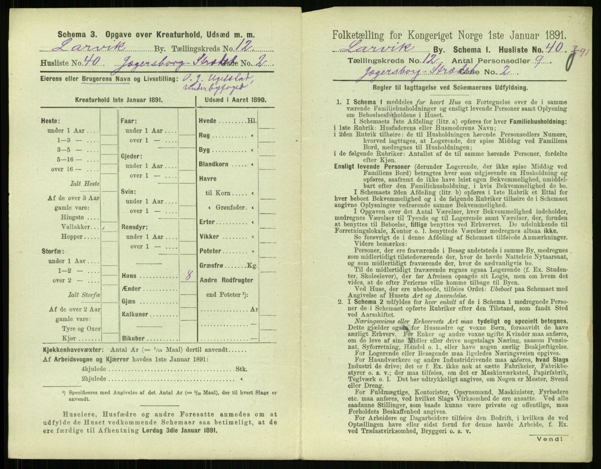 RA, 1891 census for 0707 Larvik, 1891, p. 1497