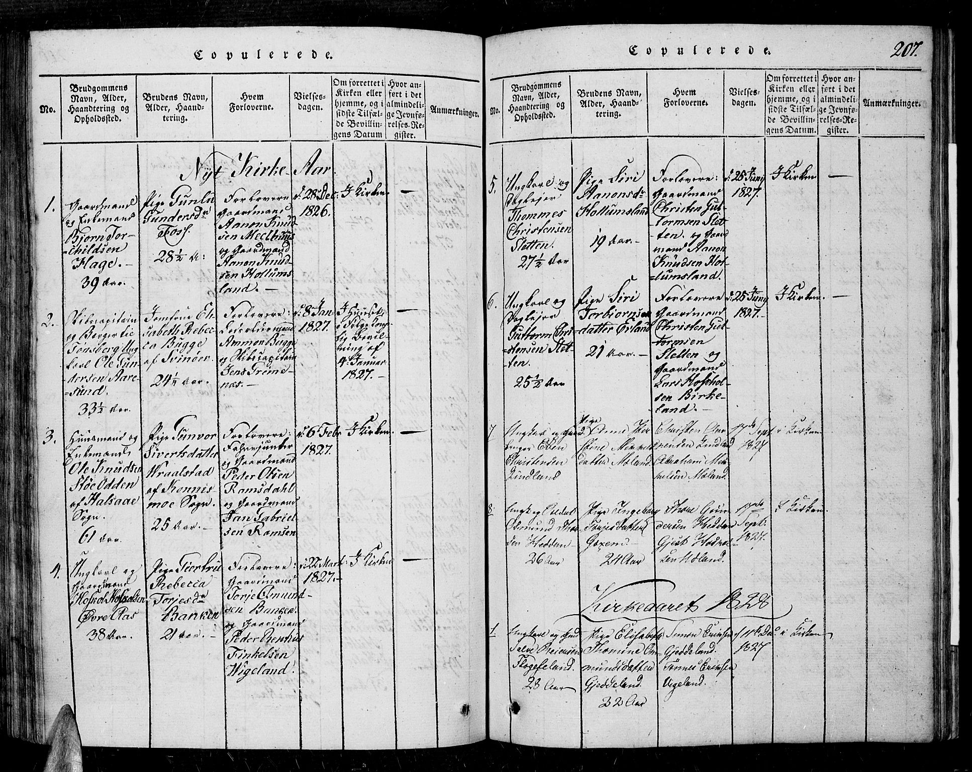 Sør-Audnedal sokneprestkontor, AV/SAK-1111-0039/F/Fa/Fab/L0005: Parish register (official) no. A 5, 1816-1830, p. 207