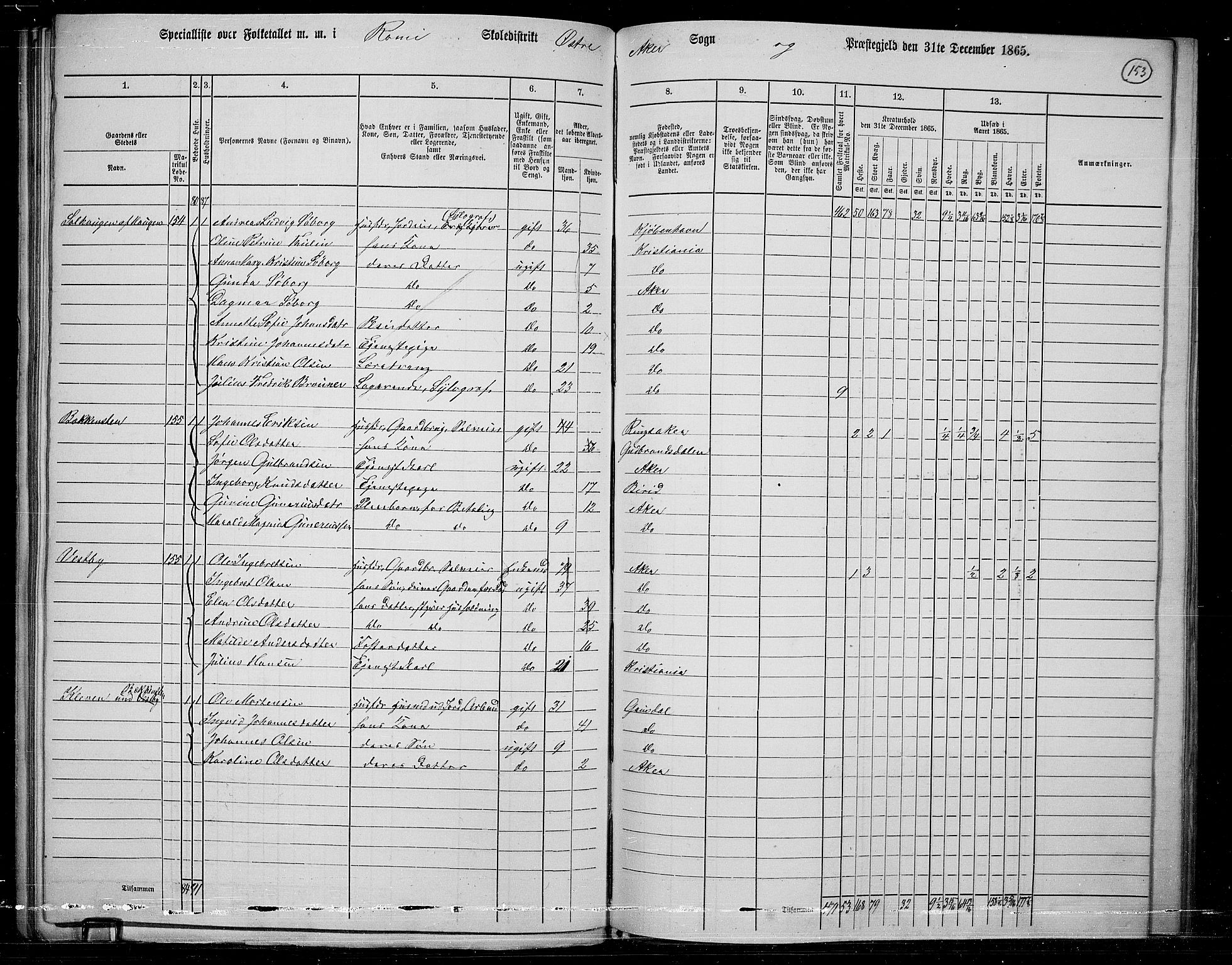 RA, 1865 census for Østre Aker, 1865, p. 146