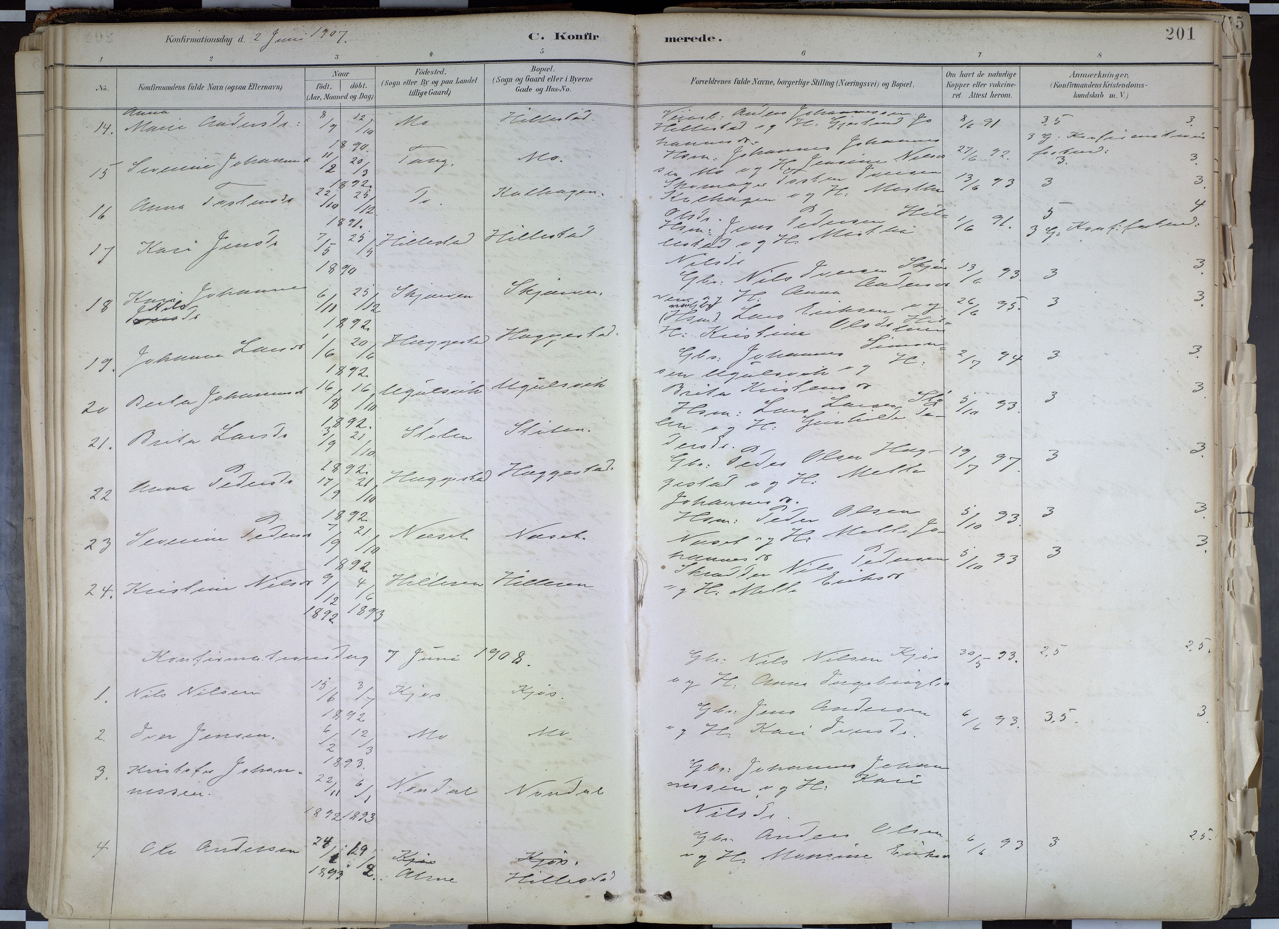 Hafslo sokneprestembete, SAB/A-80301/H/Haa/Haab/L0001: Parish register (official) no. B 1, 1886-1945, p. 201
