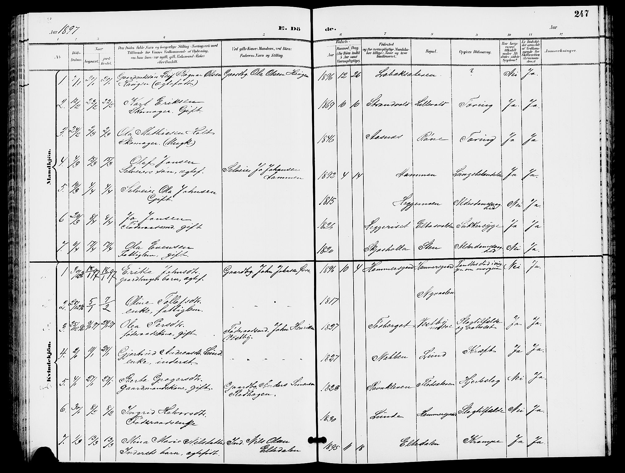 Trysil prestekontor, SAH/PREST-046/H/Ha/Hab/L0006: Parish register (copy) no. 6, 1896-1912, p. 247