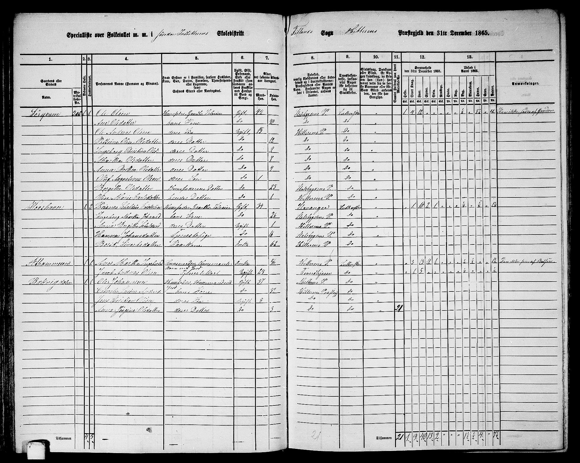 RA, 1865 census for Hitra, 1865, p. 94