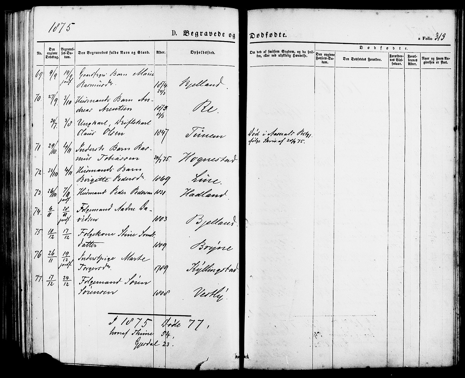 Lye sokneprestkontor, AV/SAST-A-101794/001/30BA/L0008: Parish register (official) no. A 7, 1872-1881, p. 313