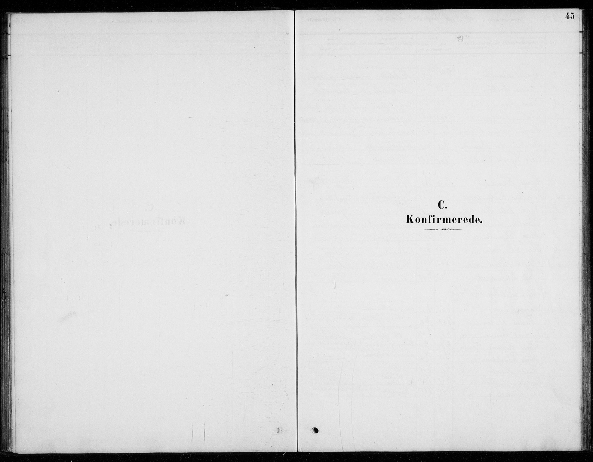 Fet prestekontor Kirkebøker, SAO/A-10370a/G/Gb/L0002: Parish register (copy) no. II 2, 1878-1911, p. 45