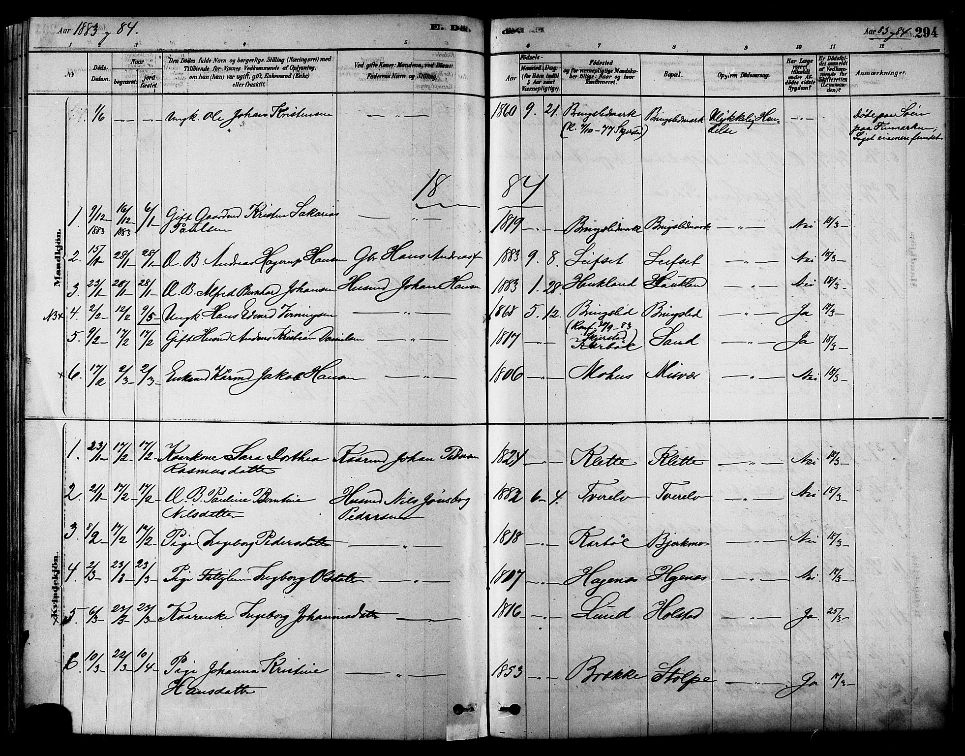 Ministerialprotokoller, klokkerbøker og fødselsregistre - Nordland, AV/SAT-A-1459/852/L0740: Parish register (official) no. 852A10, 1878-1894, p. 294