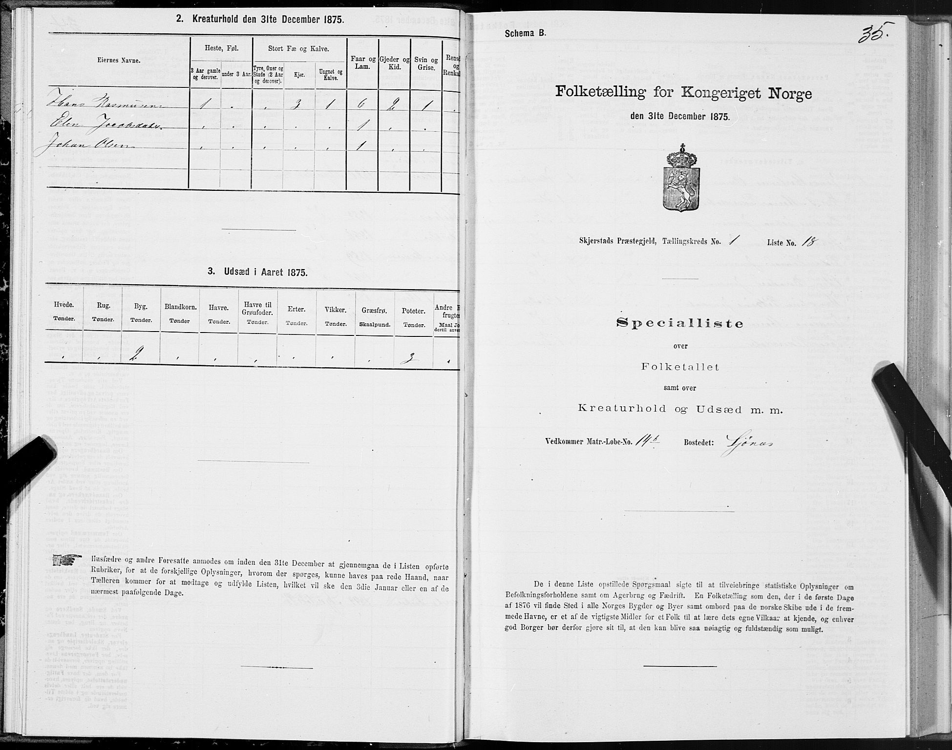 SAT, 1875 census for 1842P Skjerstad, 1875, p. 1035