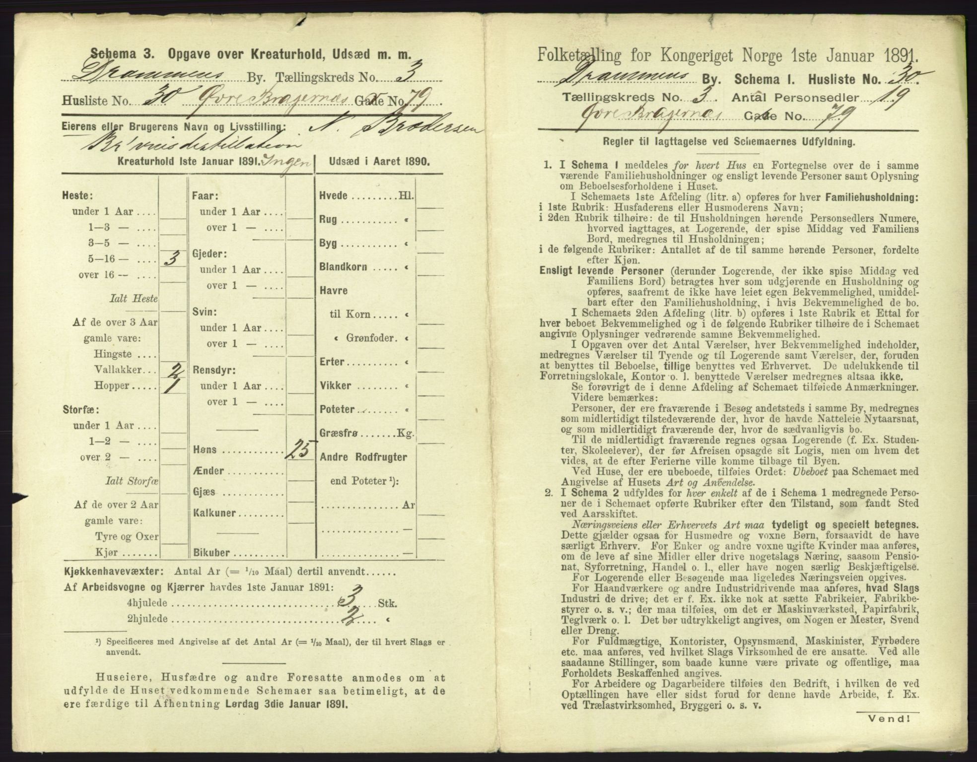 RA, 1891 census for 0602 Drammen, 1891, p. 365