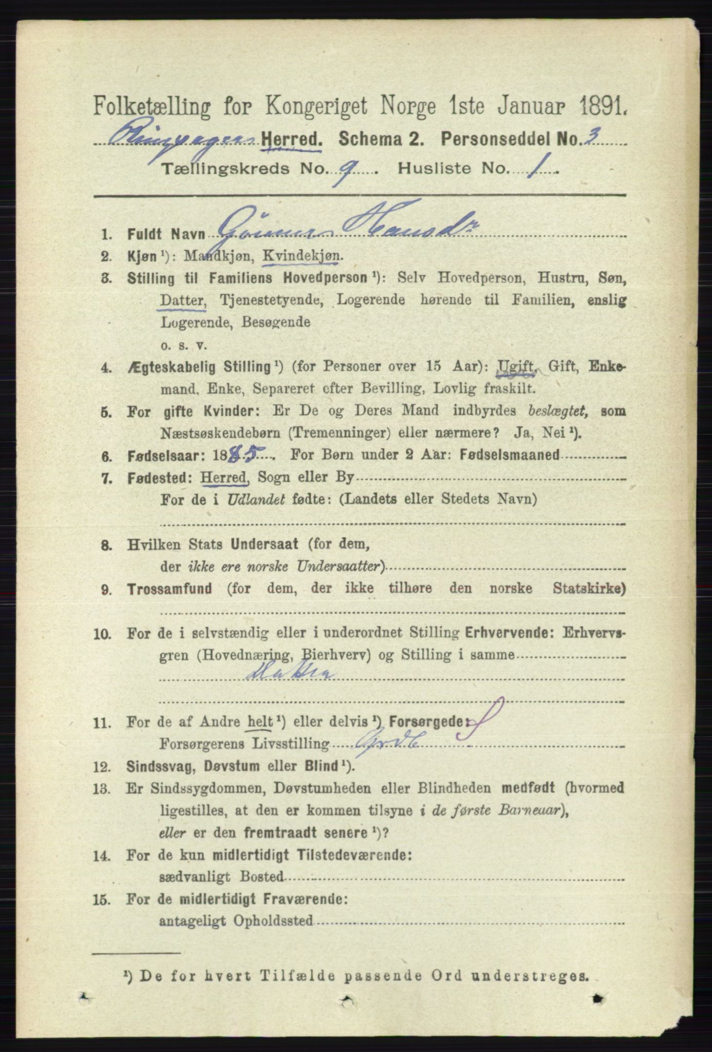 RA, 1891 census for 0412 Ringsaker, 1891, p. 5050