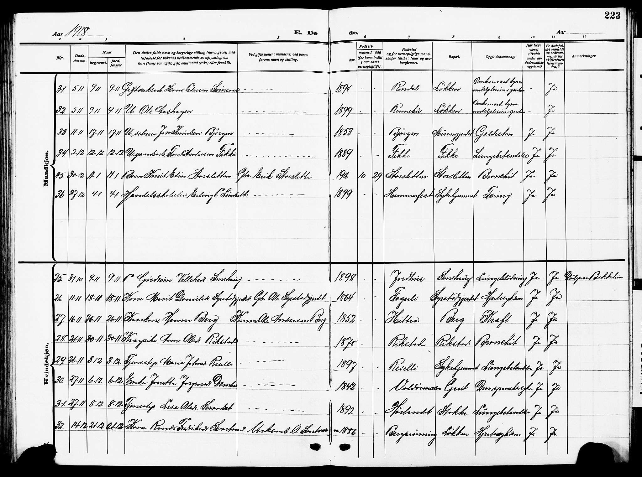 Ministerialprotokoller, klokkerbøker og fødselsregistre - Sør-Trøndelag, AV/SAT-A-1456/672/L0865: Parish register (copy) no. 672C04, 1914-1928, p. 223