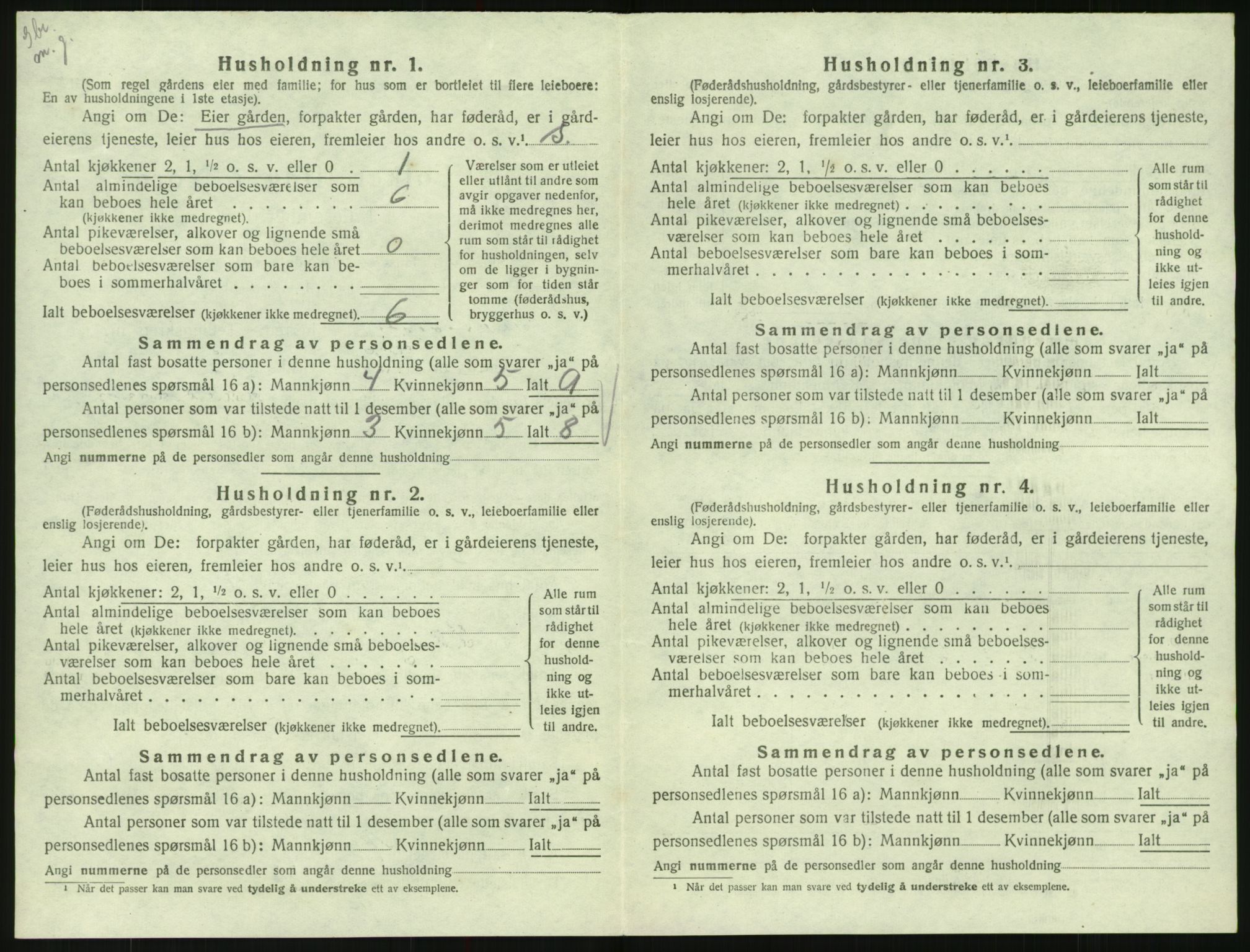 SAK, 1920 census for Hornnes, 1920, p. 514