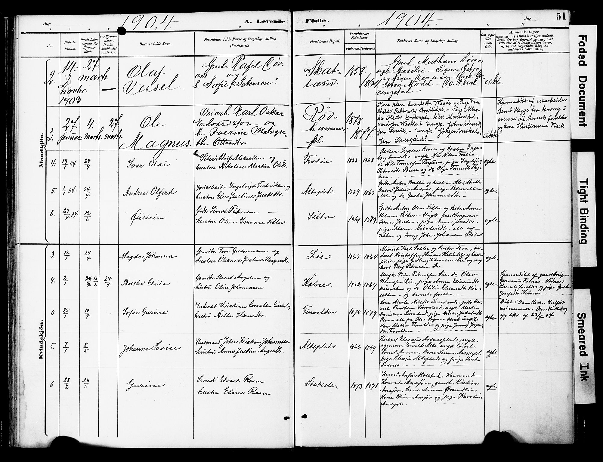 Ministerialprotokoller, klokkerbøker og fødselsregistre - Nord-Trøndelag, SAT/A-1458/742/L0409: Parish register (official) no. 742A02, 1891-1905, p. 51