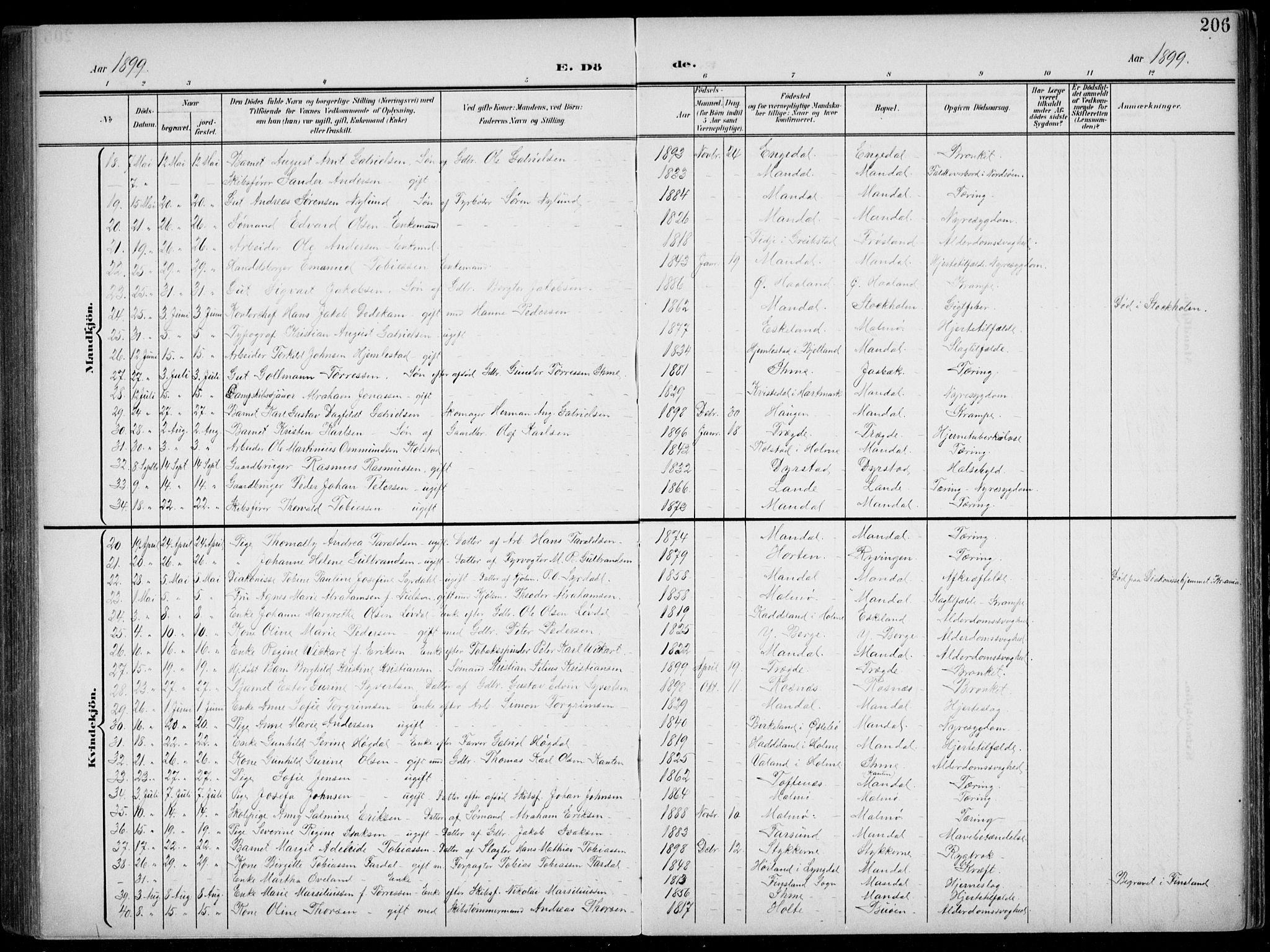 Mandal sokneprestkontor, AV/SAK-1111-0030/F/Fb/Fba/L0012: Parish register (copy) no. B 6, 1899-1918, p. 206