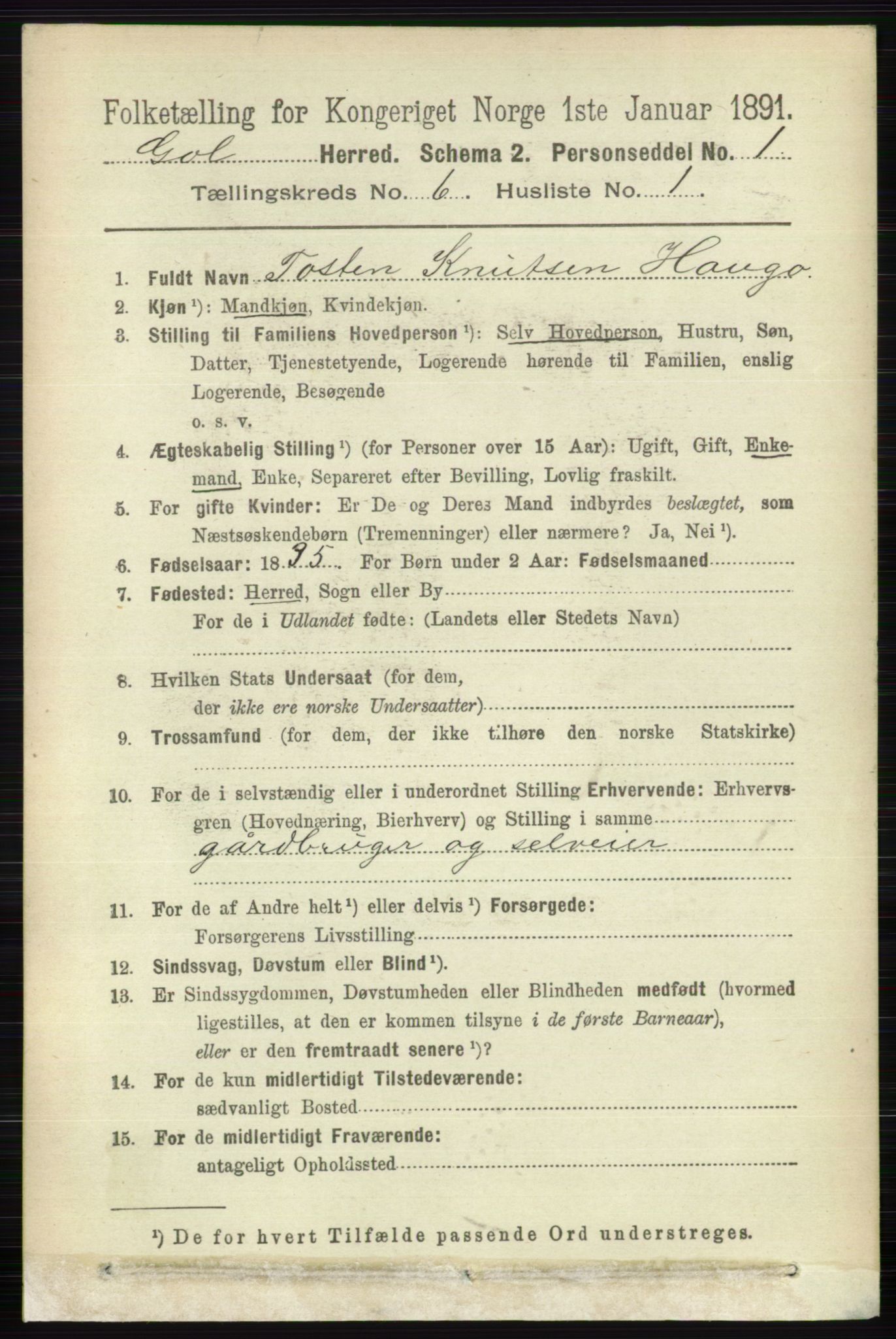 RA, 1891 census for 0617 Gol og Hemsedal, 1891, p. 2422