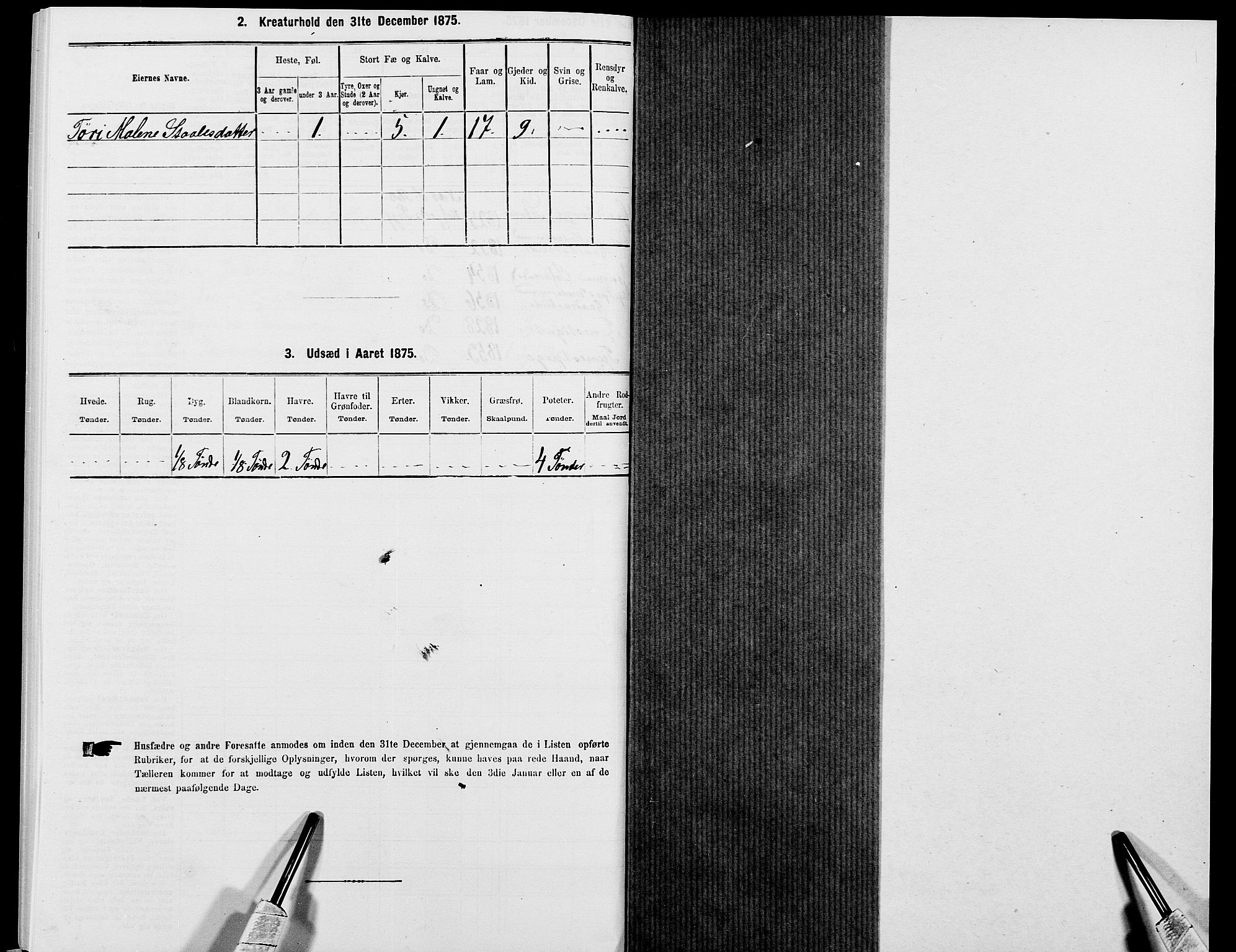 SAK, 1875 census for 1042L Flekkefjord/Nes og Hidra, 1875, p. 1305