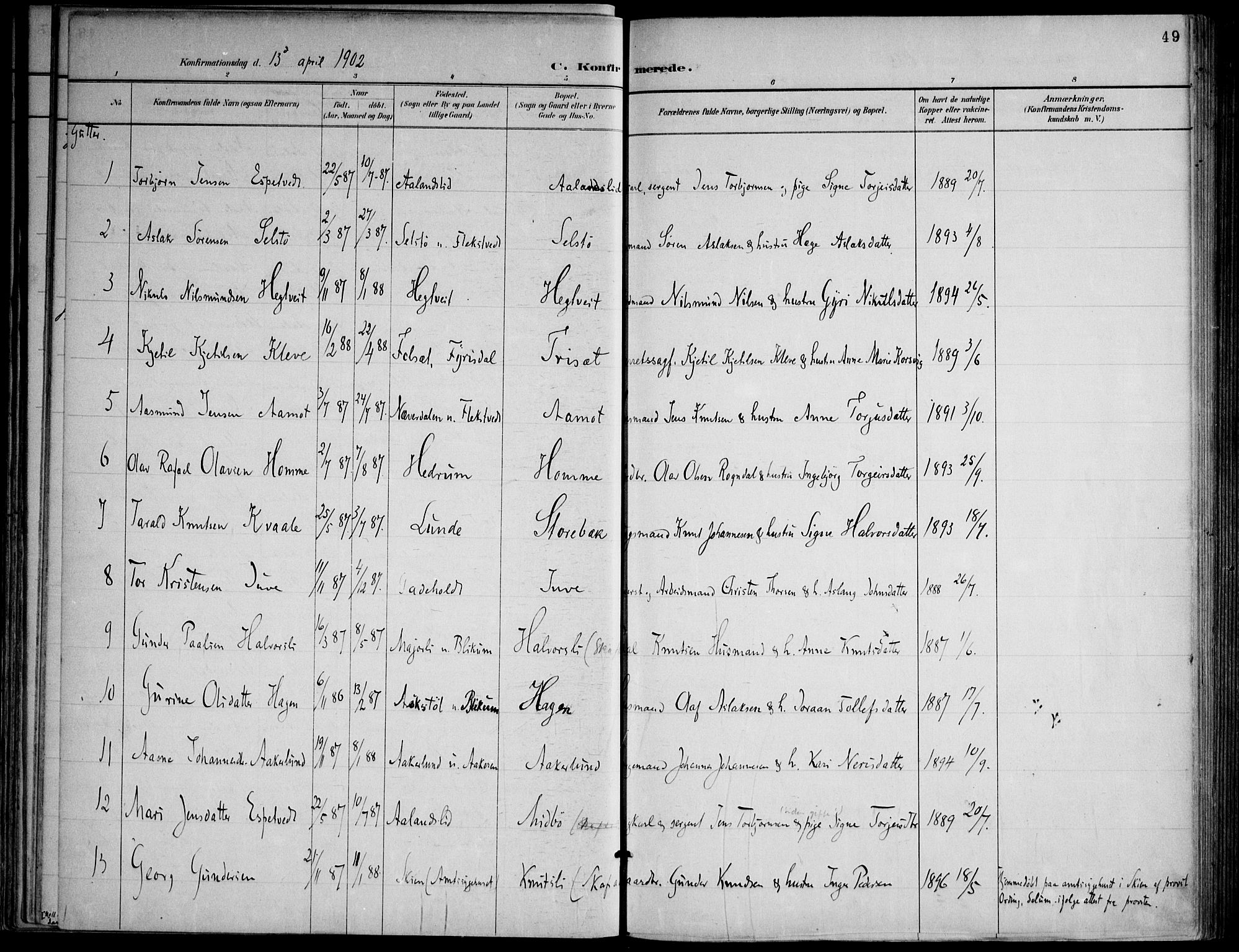 Lårdal kirkebøker, SAKO/A-284/F/Fa/L0007: Parish register (official) no. I 7, 1887-1906, p. 49