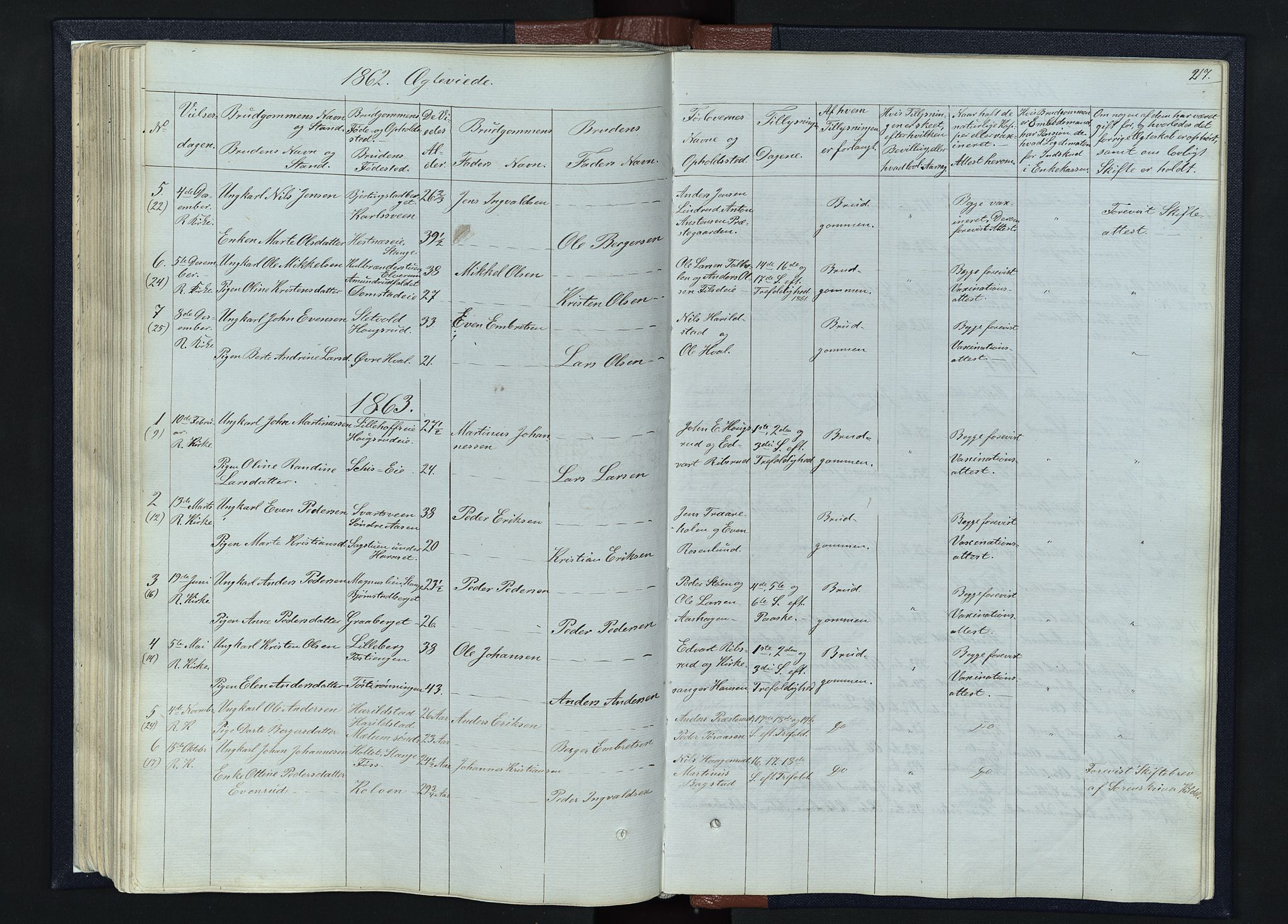 Romedal prestekontor, SAH/PREST-004/L/L0010: Parish register (copy) no. 10, 1860-1895, p. 217