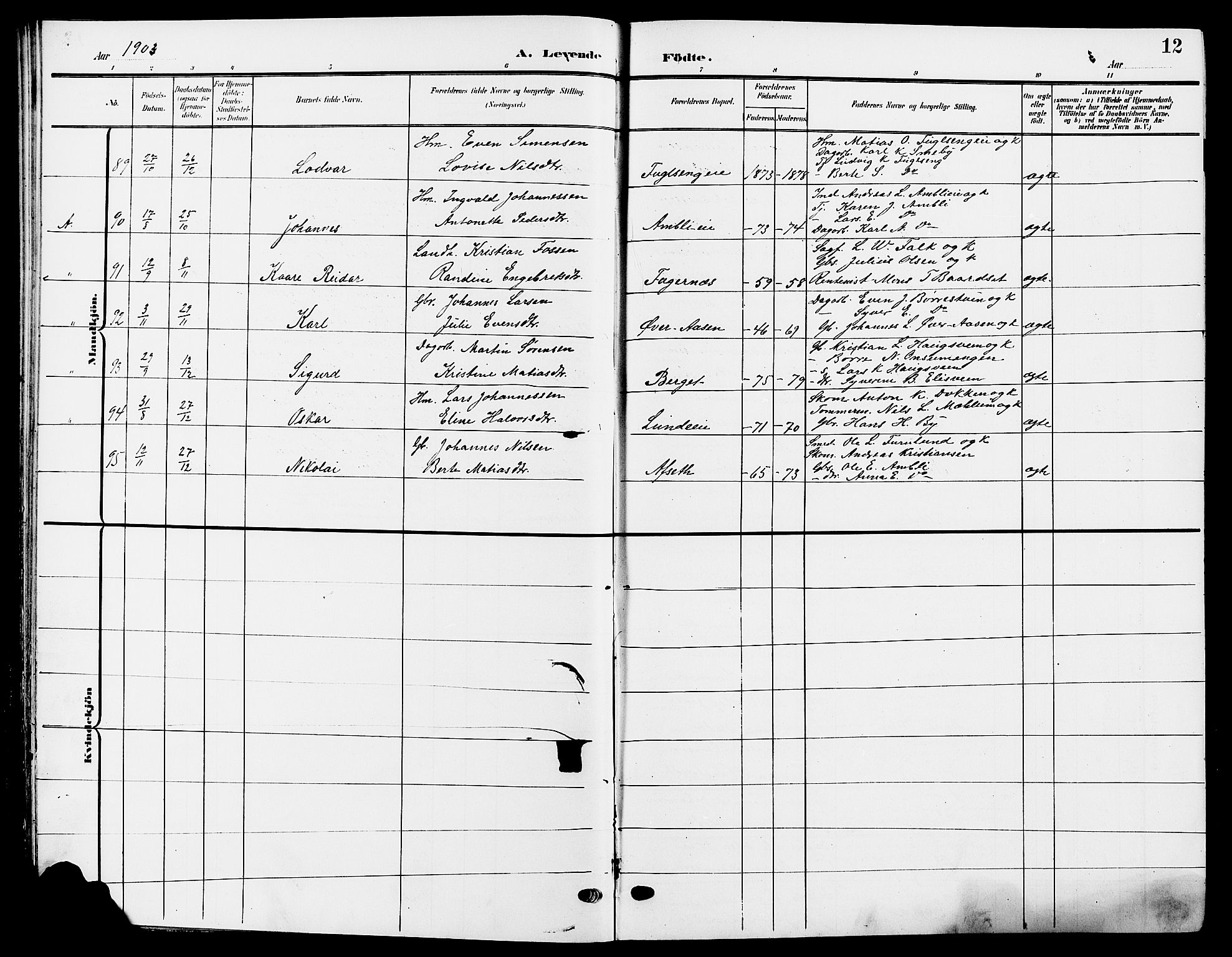 Ringsaker prestekontor, SAH/PREST-014/L/La/L0015: Parish register (copy) no. 15, 1903-1912, p. 12