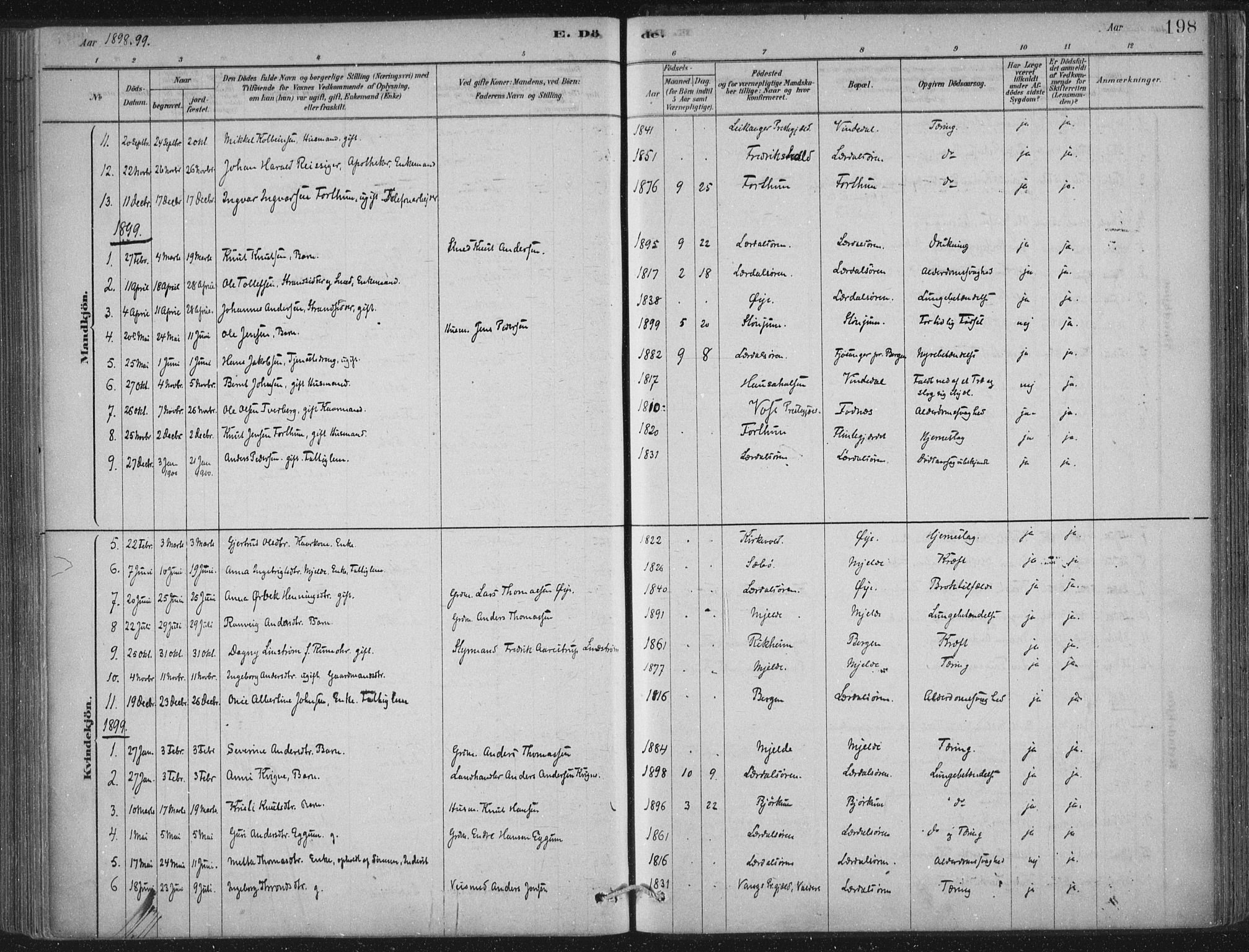 Lærdal sokneprestembete, AV/SAB-A-81201: Parish register (official) no. D  1, 1878-1908, p. 198