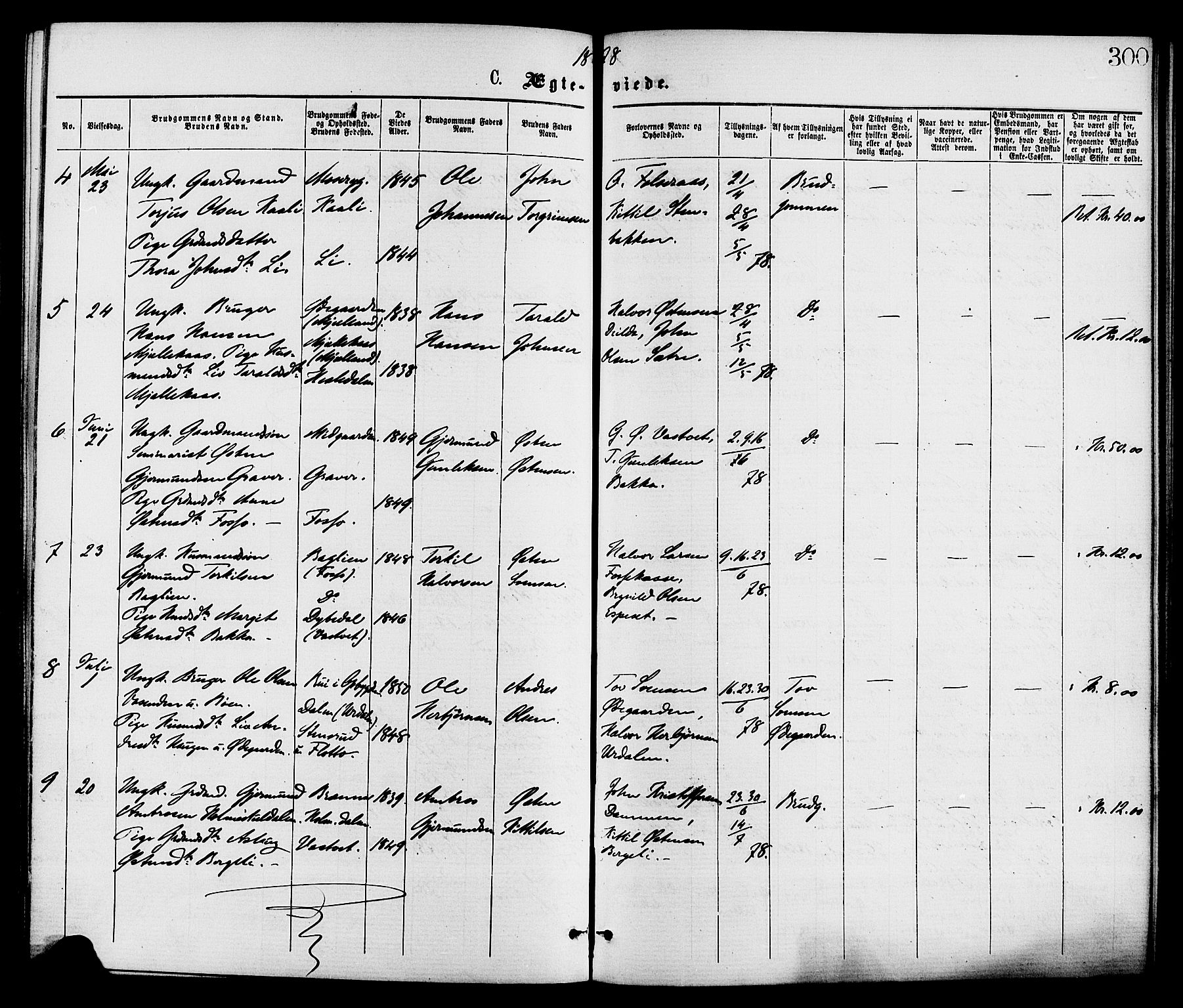 Gransherad kirkebøker, SAKO/A-267/F/Fa/L0004: Parish register (official) no. I 4, 1871-1886, p. 300