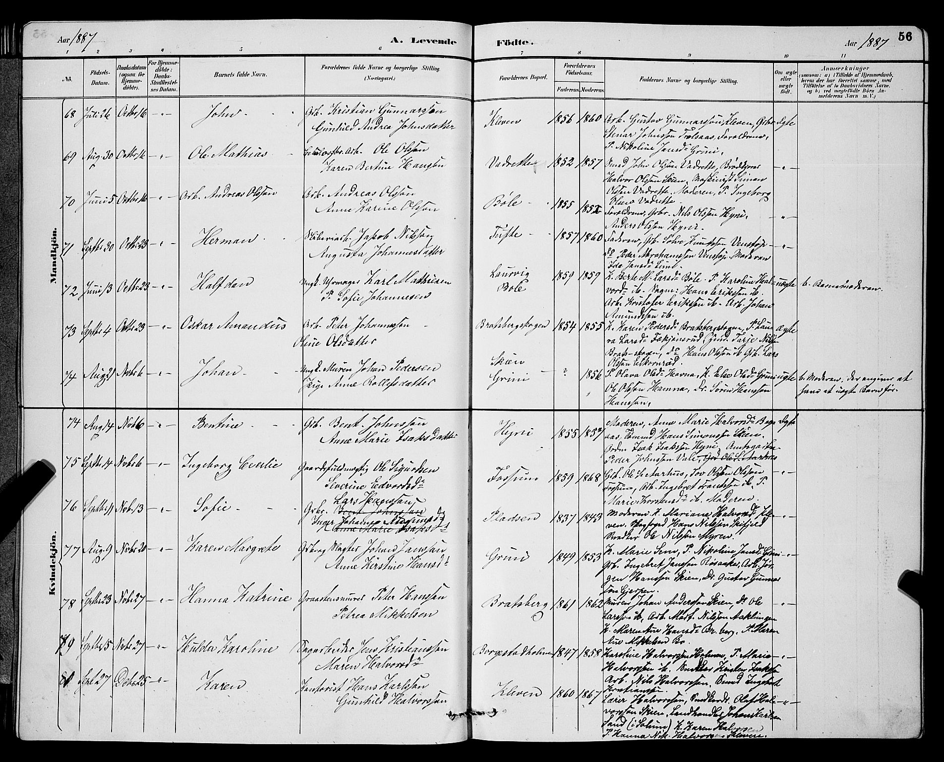 Gjerpen kirkebøker, SAKO/A-265/G/Ga/L0002: Parish register (copy) no. I 2, 1883-1900, p. 56