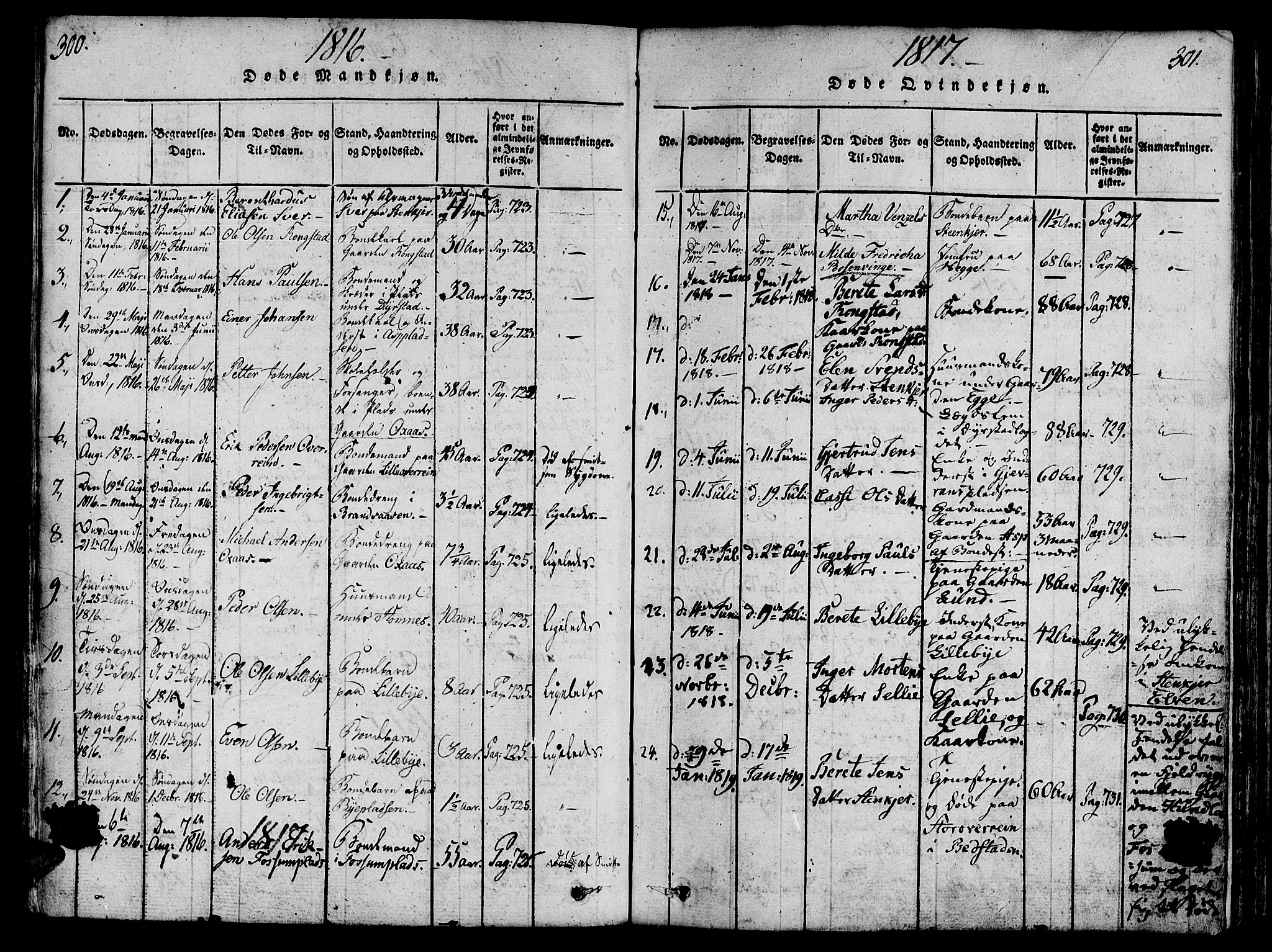 Ministerialprotokoller, klokkerbøker og fødselsregistre - Nord-Trøndelag, AV/SAT-A-1458/746/L0441: Parish register (official) no. 746A03 /3, 1816-1827, p. 300-301