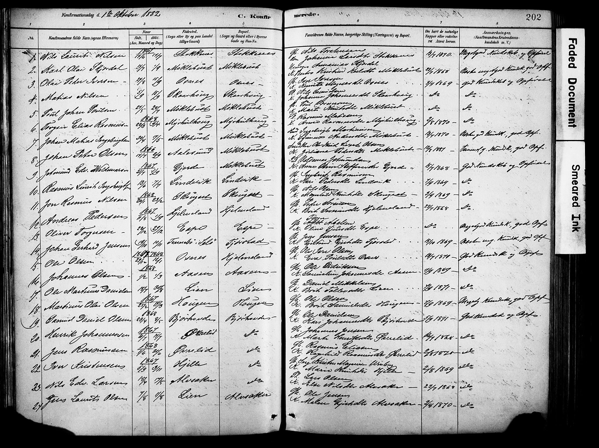 Eid sokneprestembete, AV/SAB-A-82301/H/Haa/Haab/L0001: Parish register (official) no. B 1, 1879-1906, p. 202