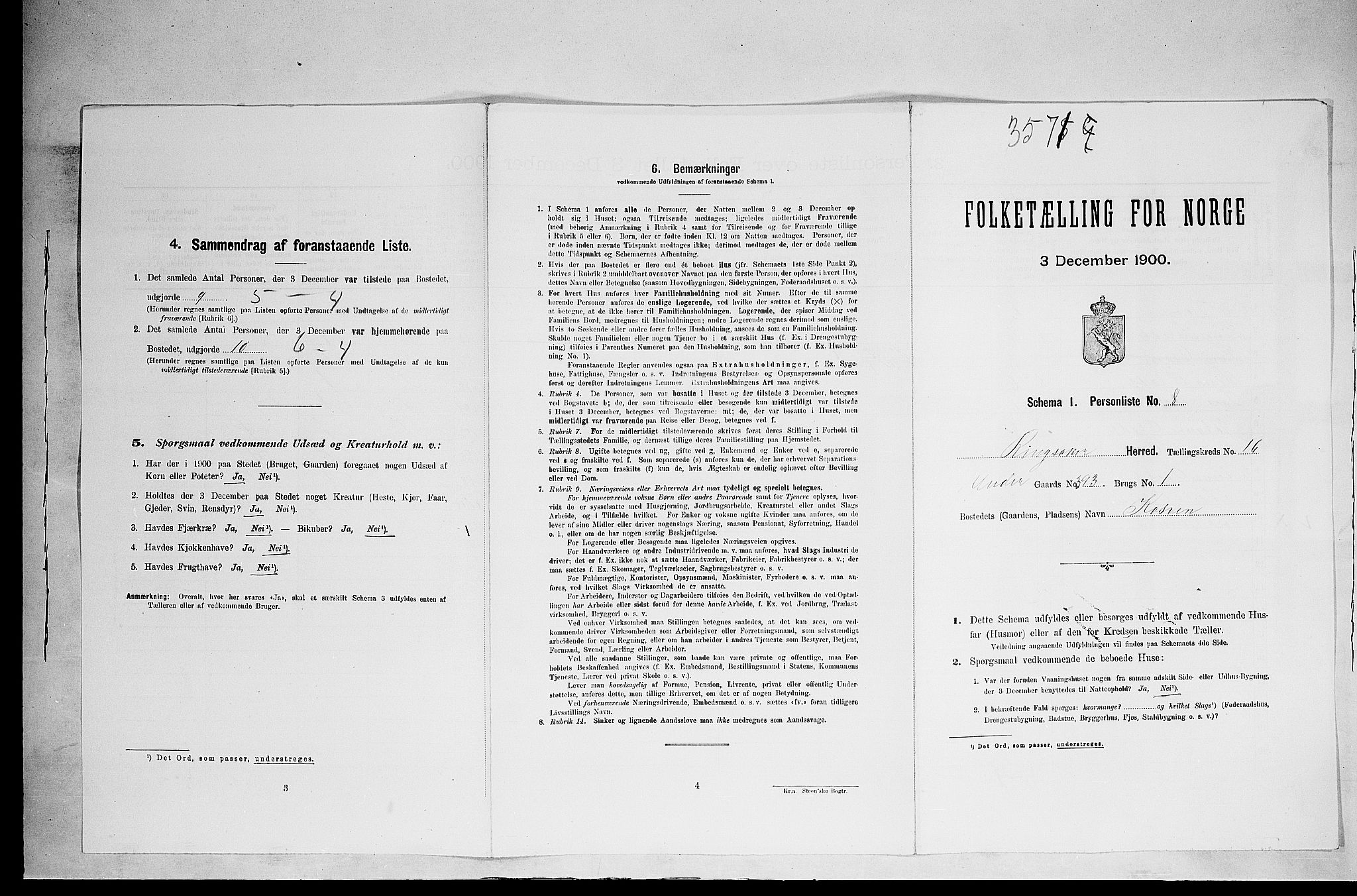 SAH, 1900 census for Ringsaker, 1900, p. 2968