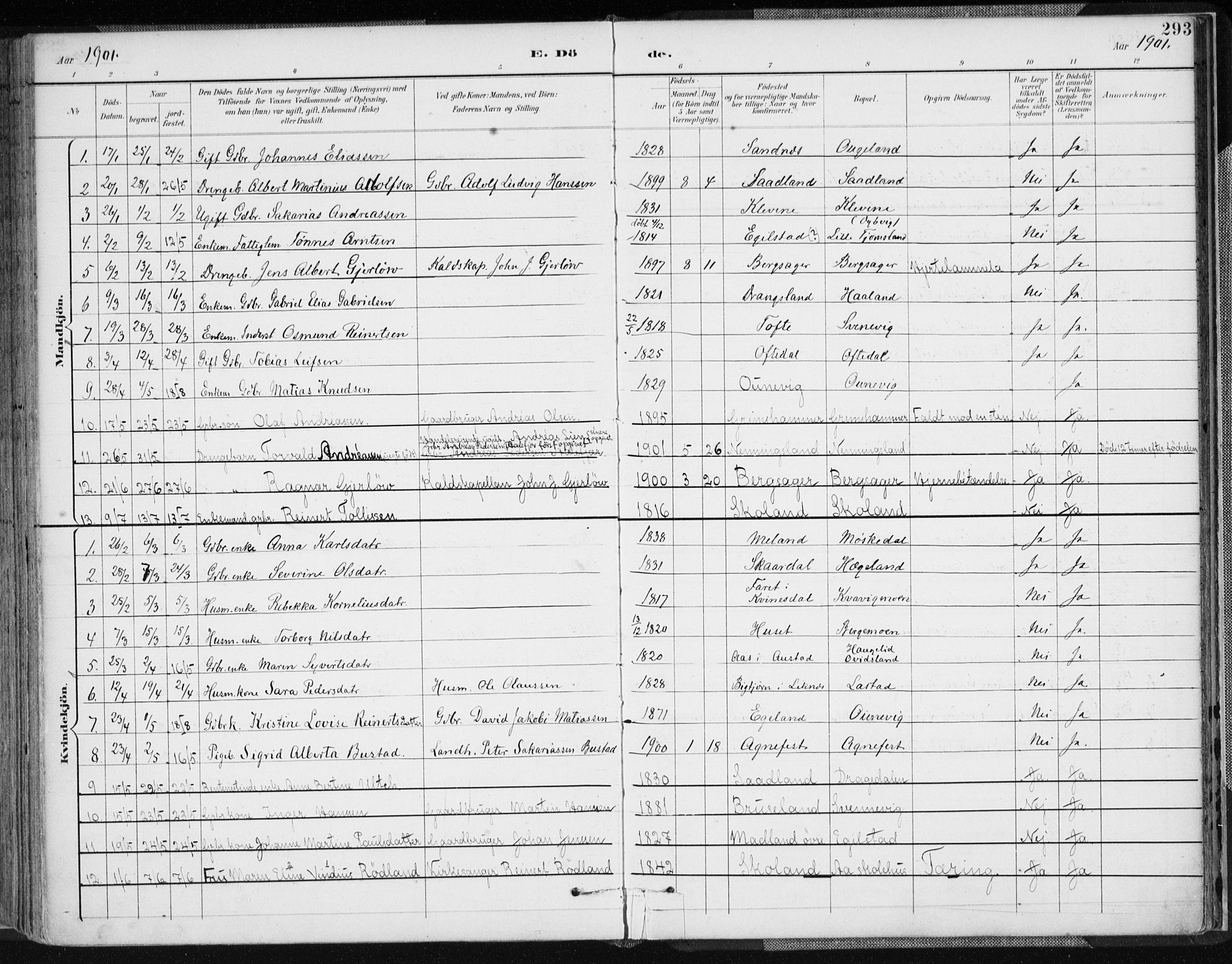 Lyngdal sokneprestkontor, AV/SAK-1111-0029/F/Fa/Fac/L0012: Parish register (official) no. A 12, 1894-1918, p. 293