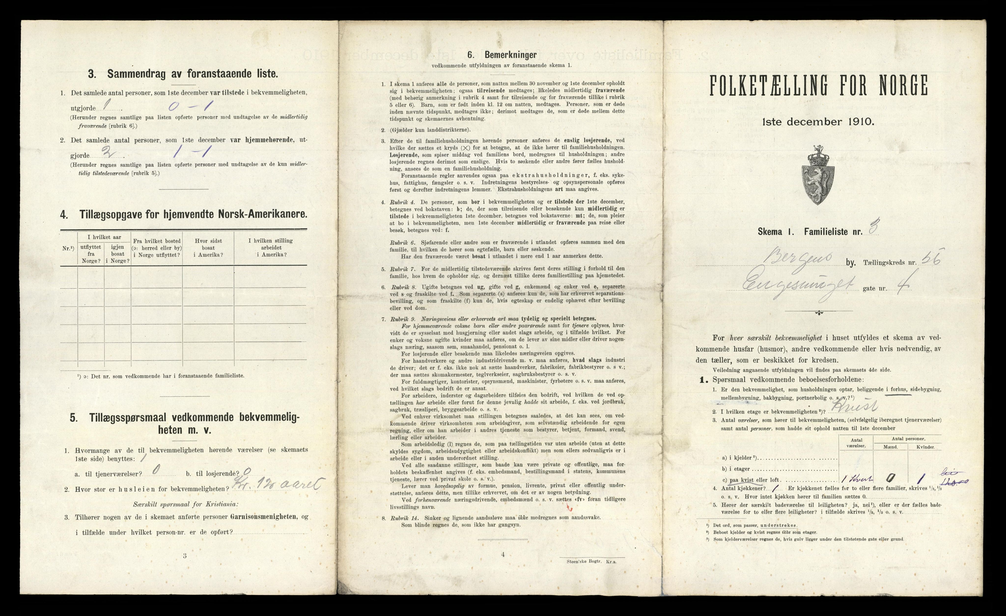 RA, 1910 census for Bergen, 1910, p. 19687