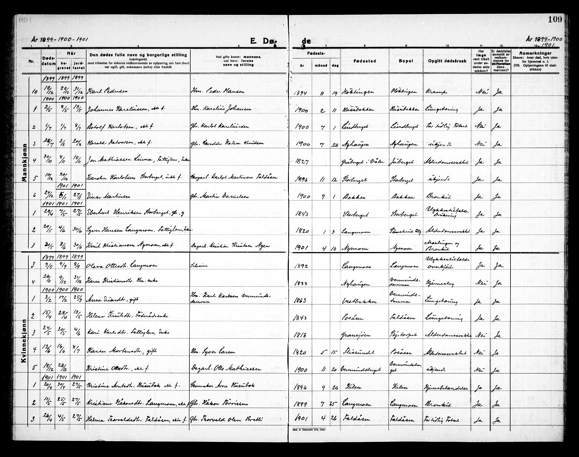 Åsnes prestekontor, AV/SAH-PREST-042/H/Ha/Haa/L0000E: Parish register (official) no. 0C, 1890-1929, p. 109