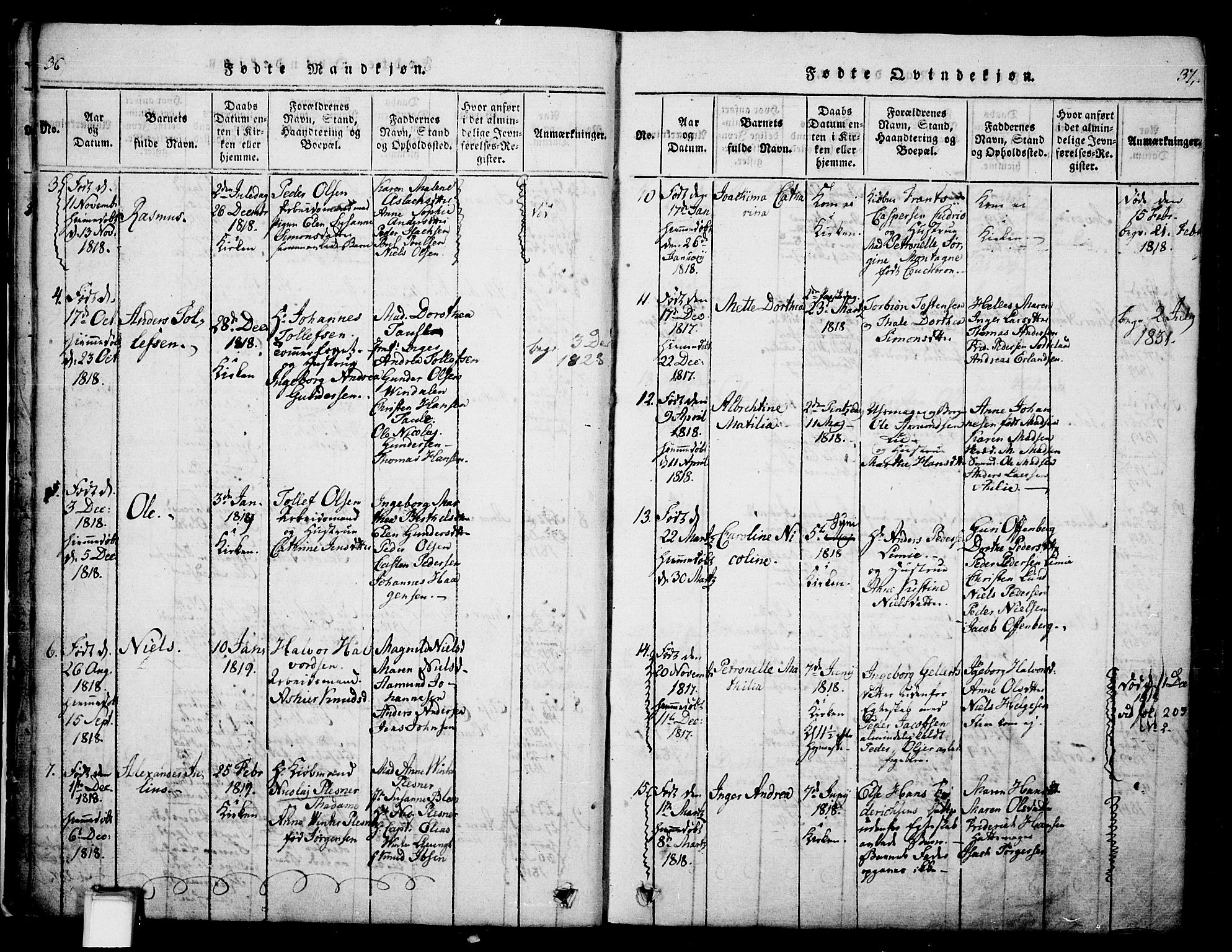 Skien kirkebøker, SAKO/A-302/G/Ga/L0002: Parish register (copy) no. 2, 1814-1842, p. 36-37