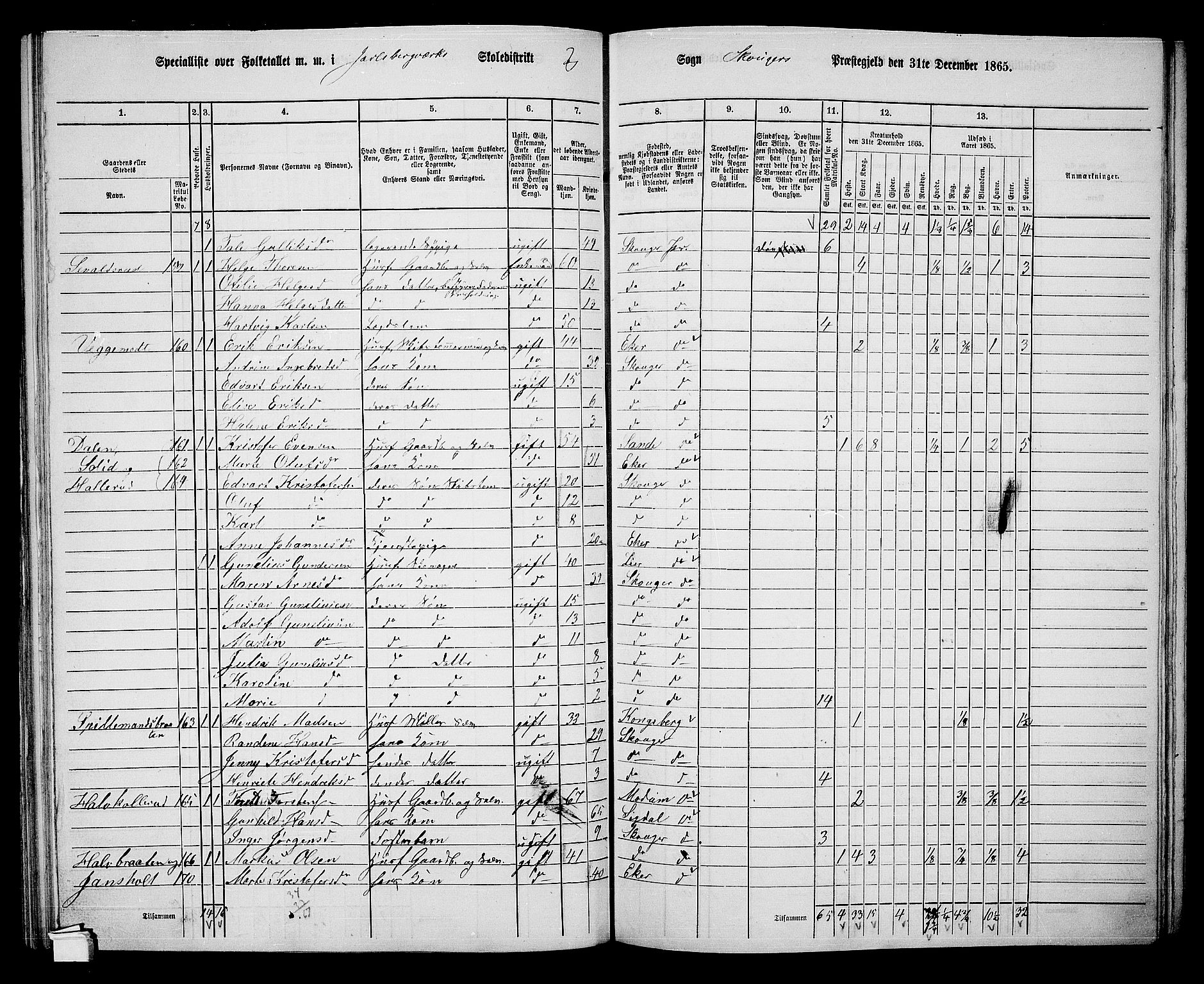 RA, 1865 census for Skoger, 1865, p. 96