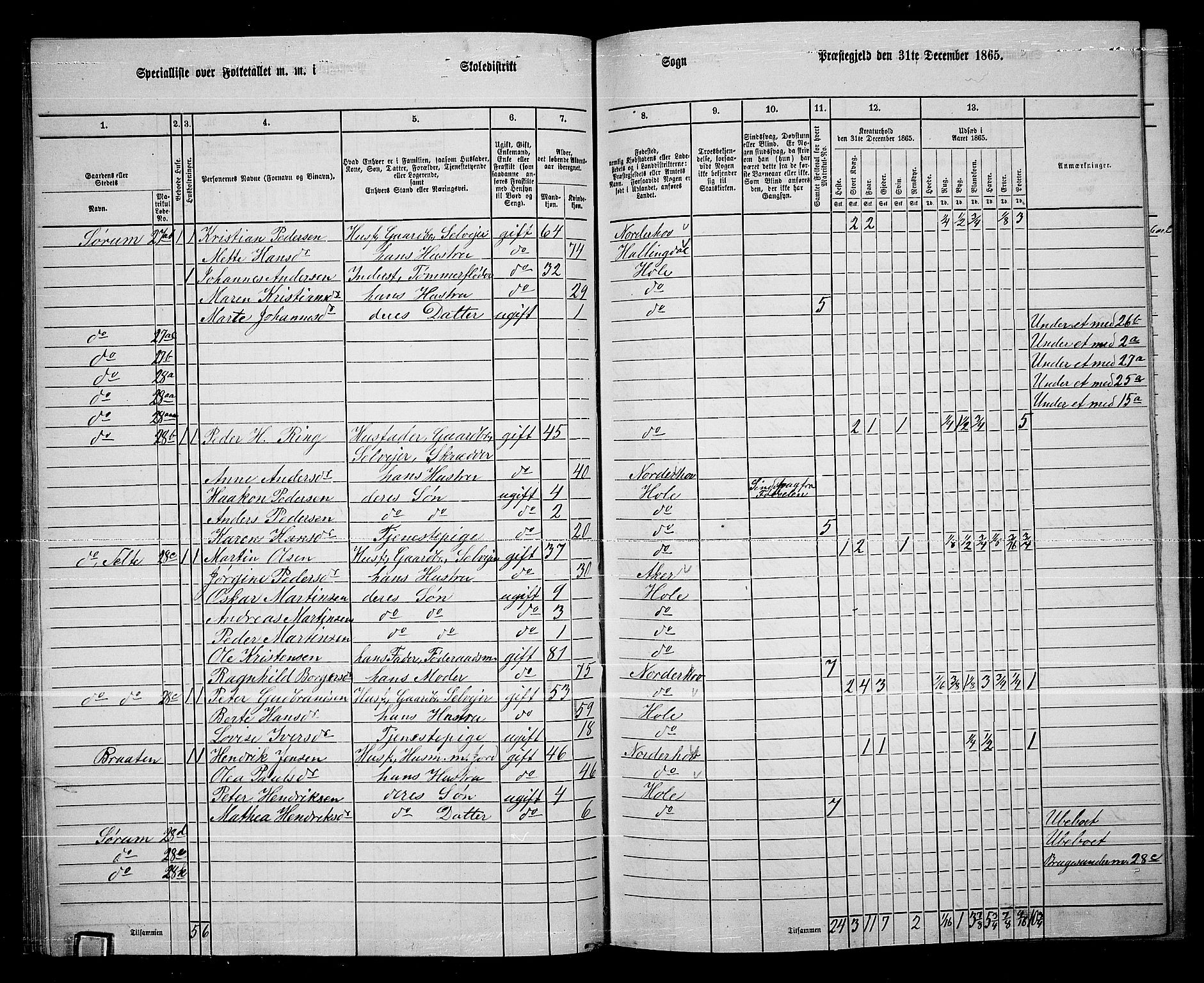 RA, 1865 census for Hole, 1865, p. 32