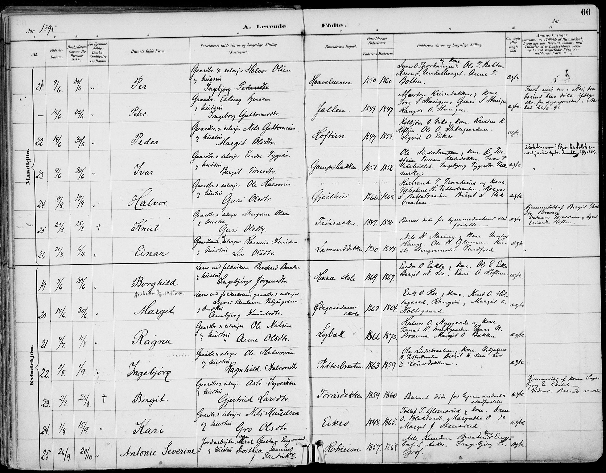 Gol kirkebøker, AV/SAKO-A-226/F/Fa/L0005: Parish register (official) no. I 5, 1887-1900, p. 66