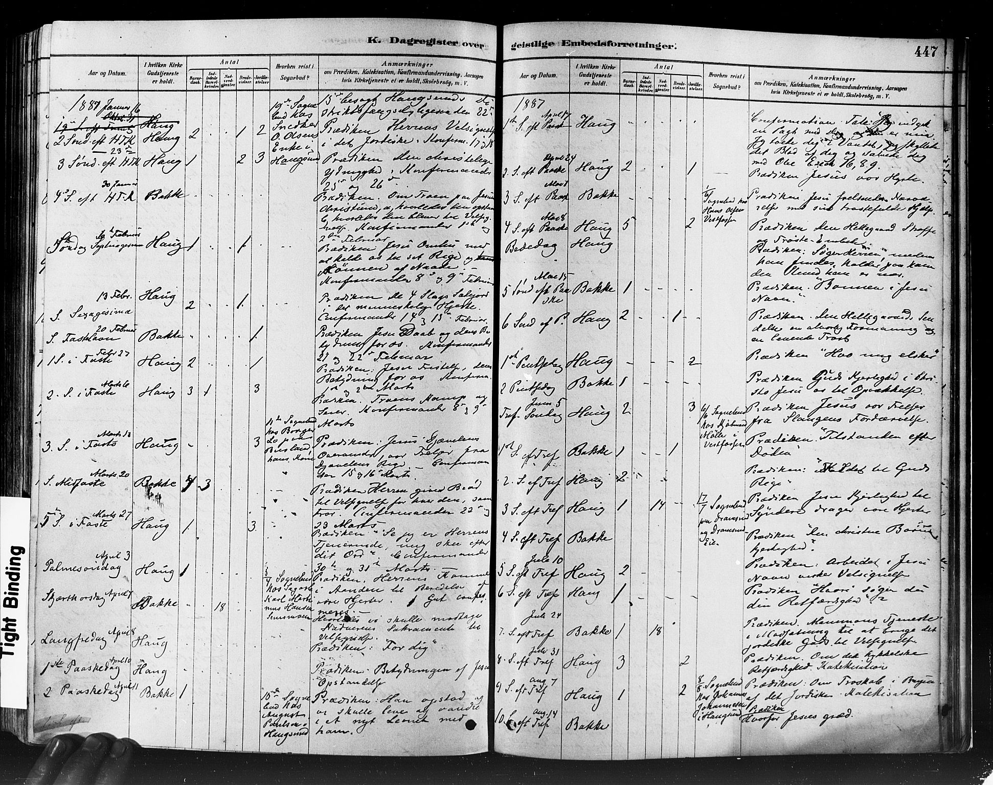 Eiker kirkebøker, AV/SAKO-A-4/F/Fb/L0001: Parish register (official) no. II 1, 1878-1888, p. 447