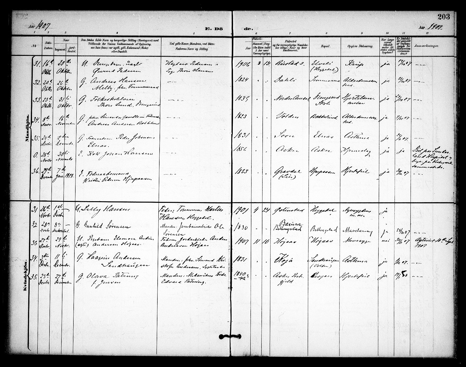 Asker prestekontor Kirkebøker, SAO/A-10256a/F/Fa/L0015: Parish register (official) no. I 15, 1896-1915, p. 203