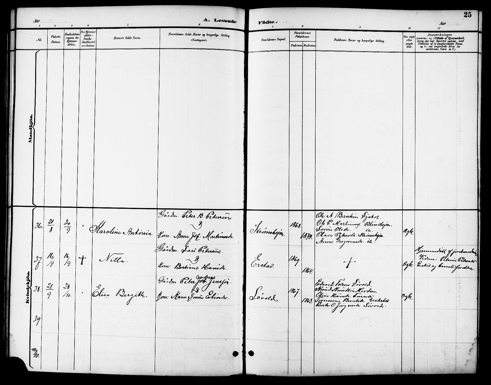 Ministerialprotokoller, klokkerbøker og fødselsregistre - Møre og Romsdal, AV/SAT-A-1454/523/L0340: Parish register (copy) no. 523C03, 1892-1902, p. 25