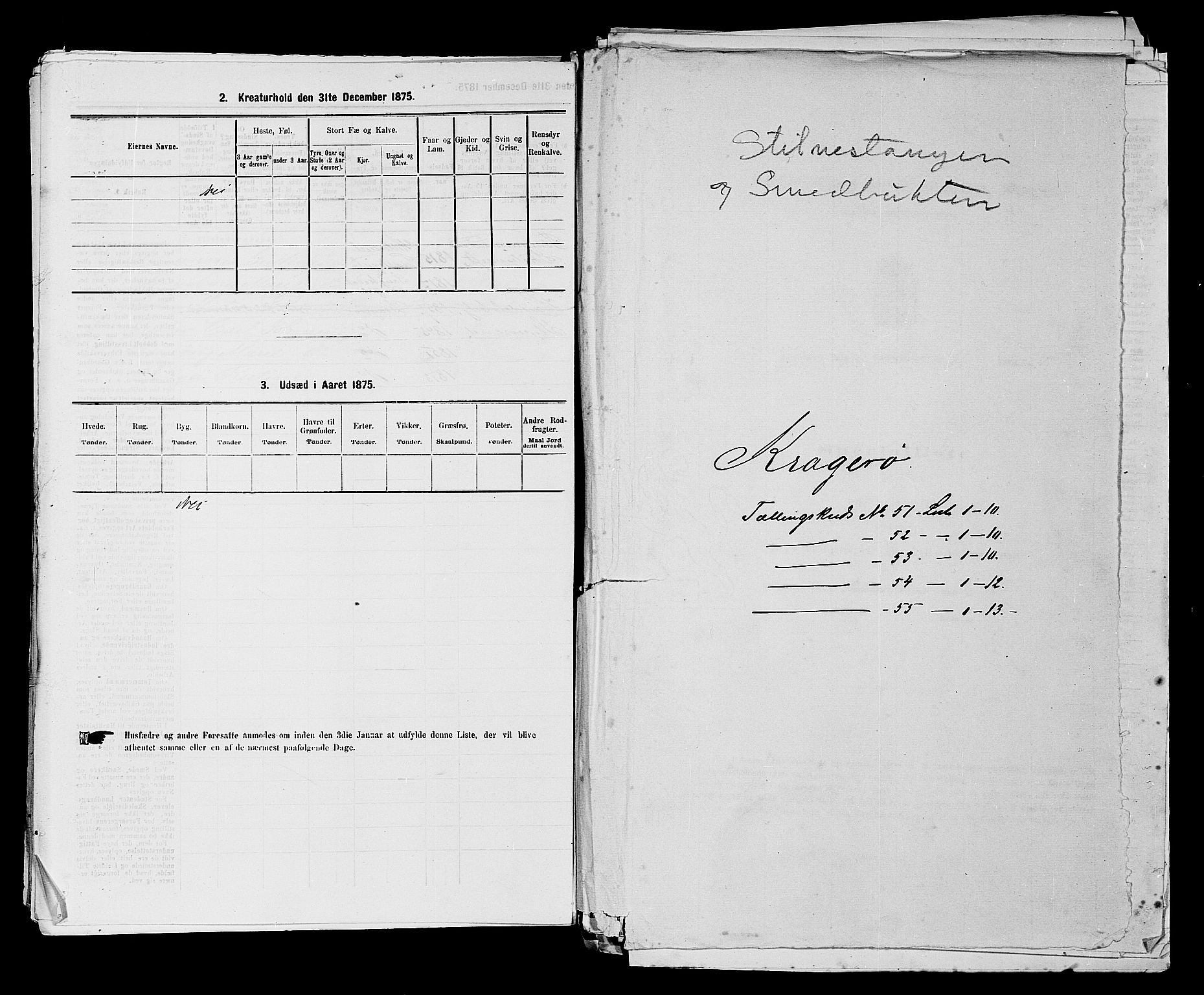 SAKO, 1875 census for 0801P Kragerø, 1875, p. 1122