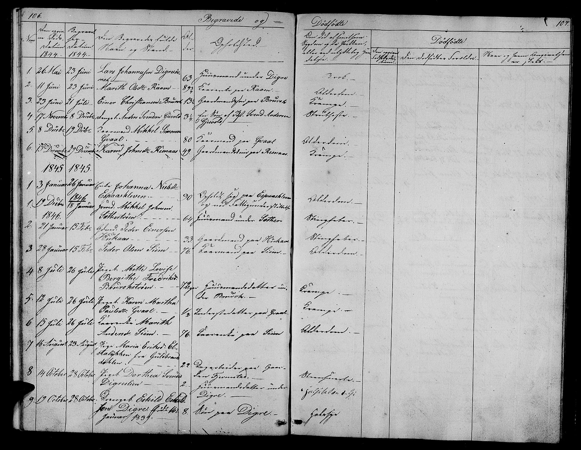 Ministerialprotokoller, klokkerbøker og fødselsregistre - Sør-Trøndelag, SAT/A-1456/608/L0339: Parish register (copy) no. 608C05, 1844-1863, p. 106-107