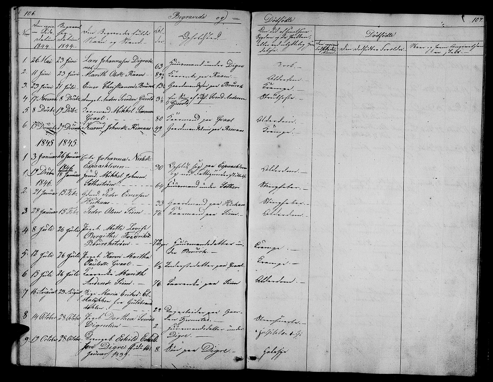 Ministerialprotokoller, klokkerbøker og fødselsregistre - Sør-Trøndelag, AV/SAT-A-1456/608/L0339: Parish register (copy) no. 608C05, 1844-1863, p. 106-107