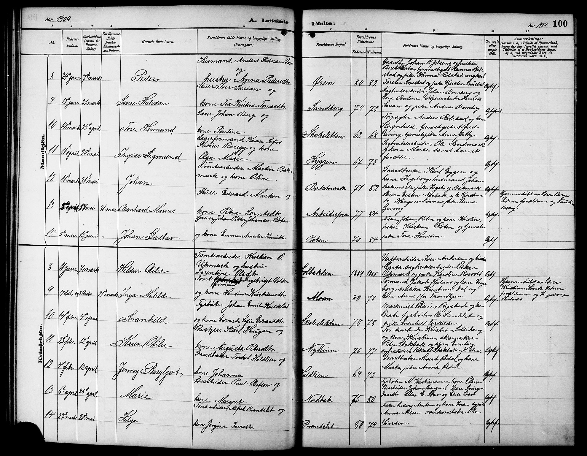Ministerialprotokoller, klokkerbøker og fødselsregistre - Sør-Trøndelag, SAT/A-1456/617/L0431: Parish register (copy) no. 617C01, 1889-1910, p. 100