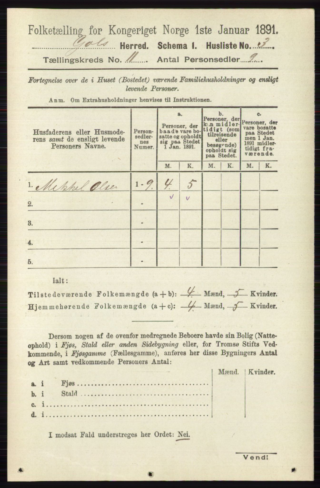 RA, 1891 census for 0617 Gol og Hemsedal, 1891, p. 4284