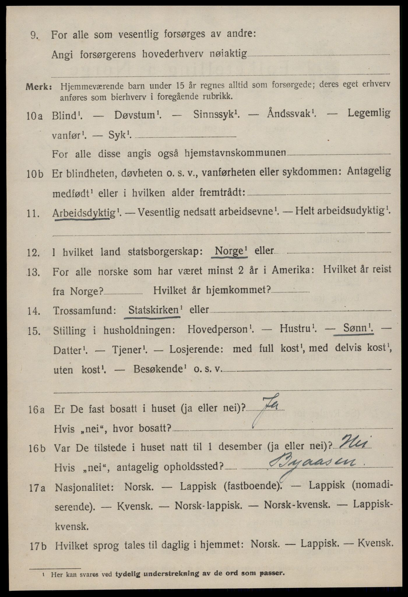 SAT, 1920 census for Selbu, 1920, p. 8875