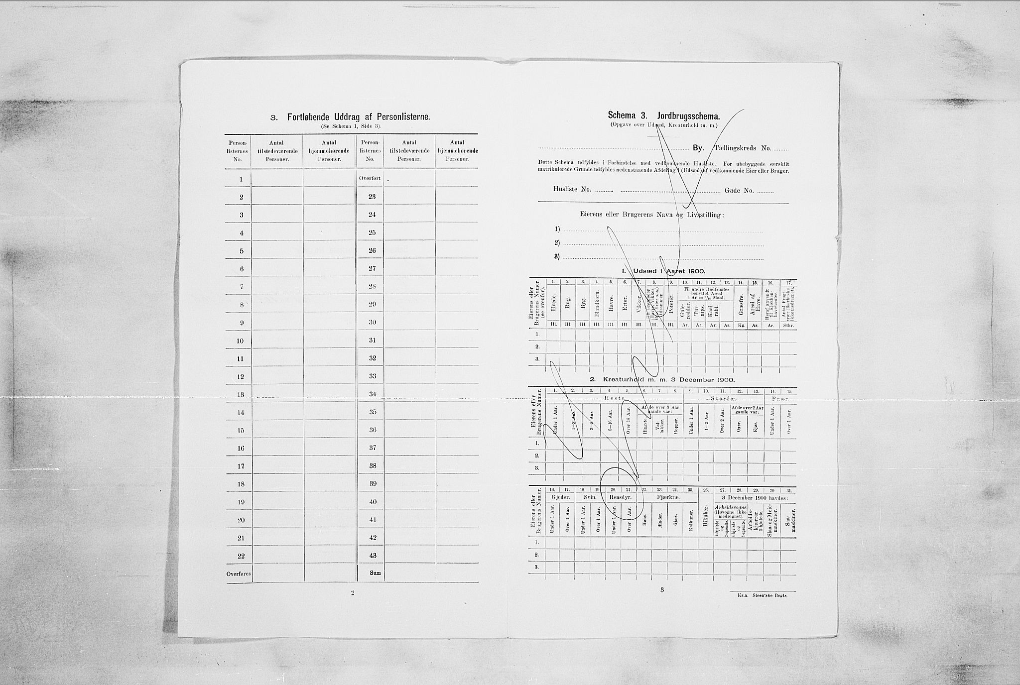 RA, 1900 census for Kongsberg, 1900, p. 81