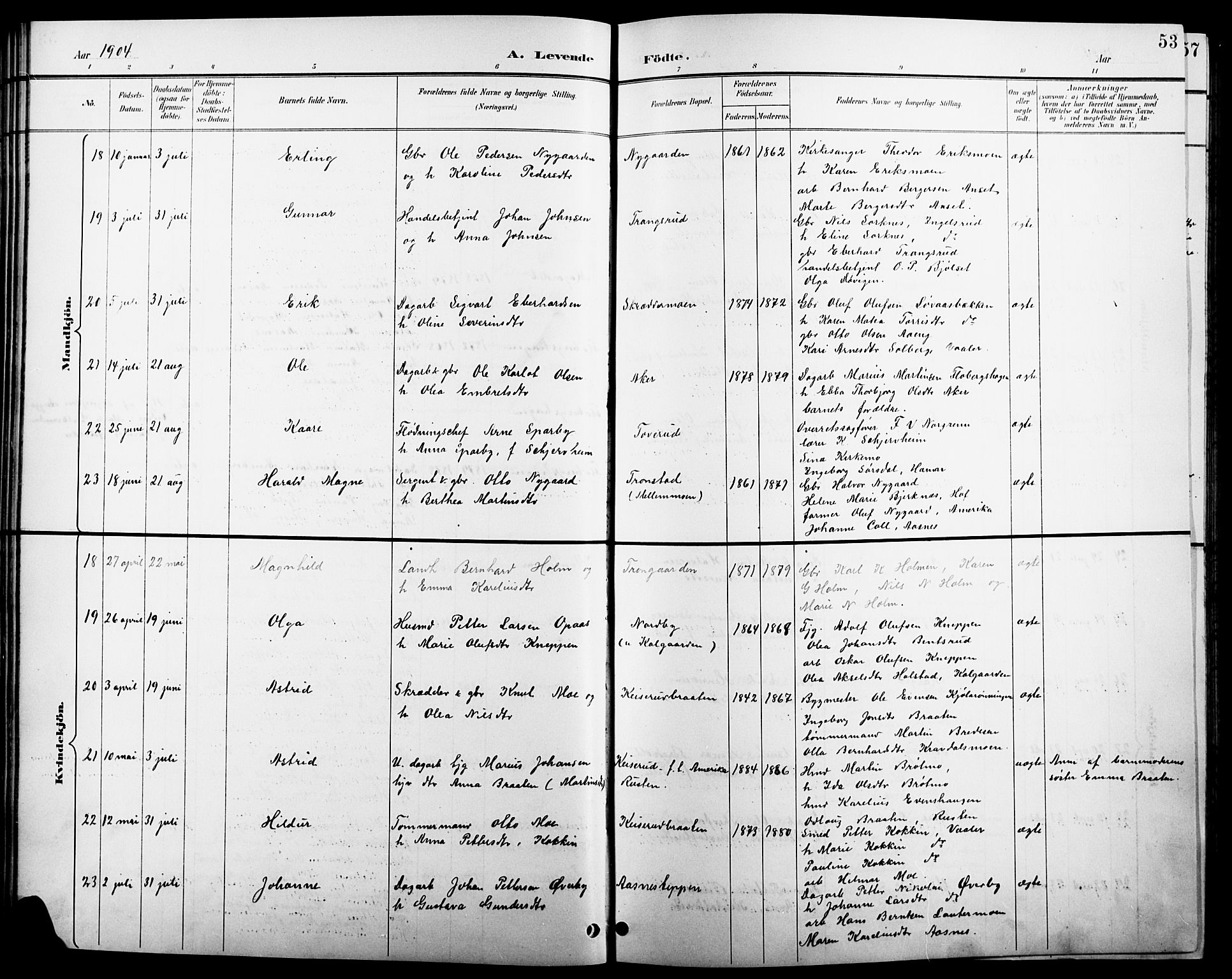 Åsnes prestekontor, AV/SAH-PREST-042/H/Ha/Hab/L0004: Parish register (copy) no. 4, 1895-1909, p. 53