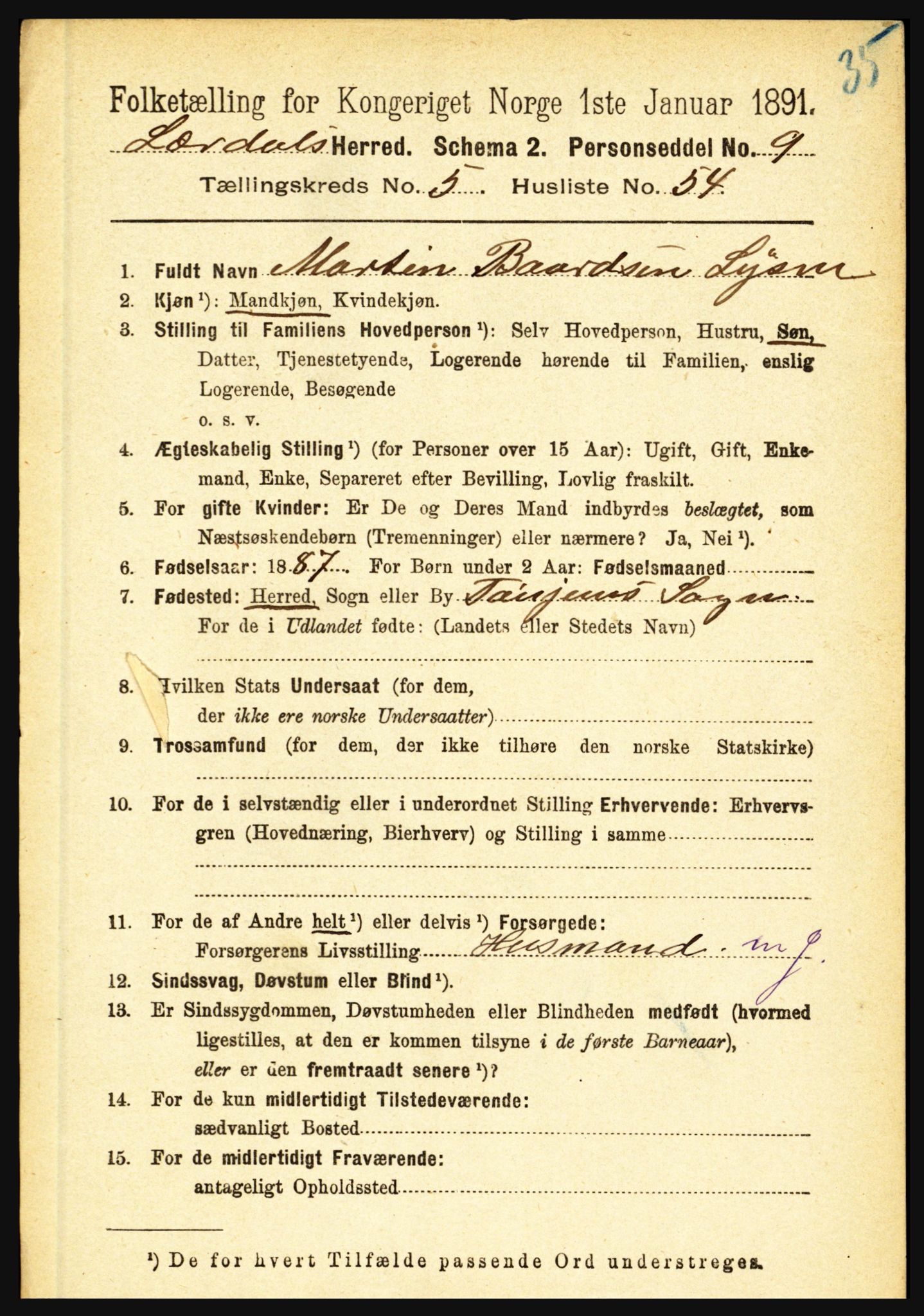 RA, 1891 census for 1422 Lærdal, 1891, p. 404