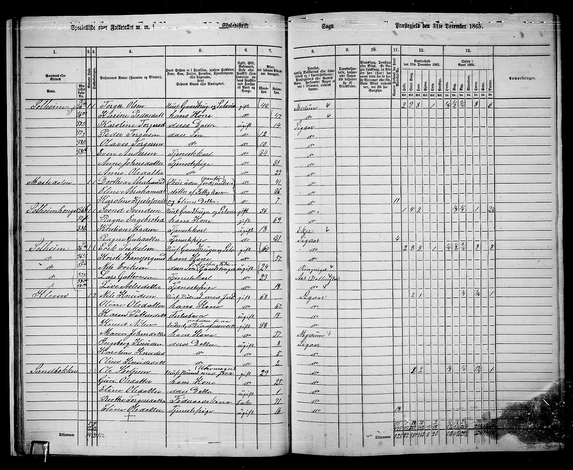 RA, 1865 census for Sigdal, 1865, p. 36